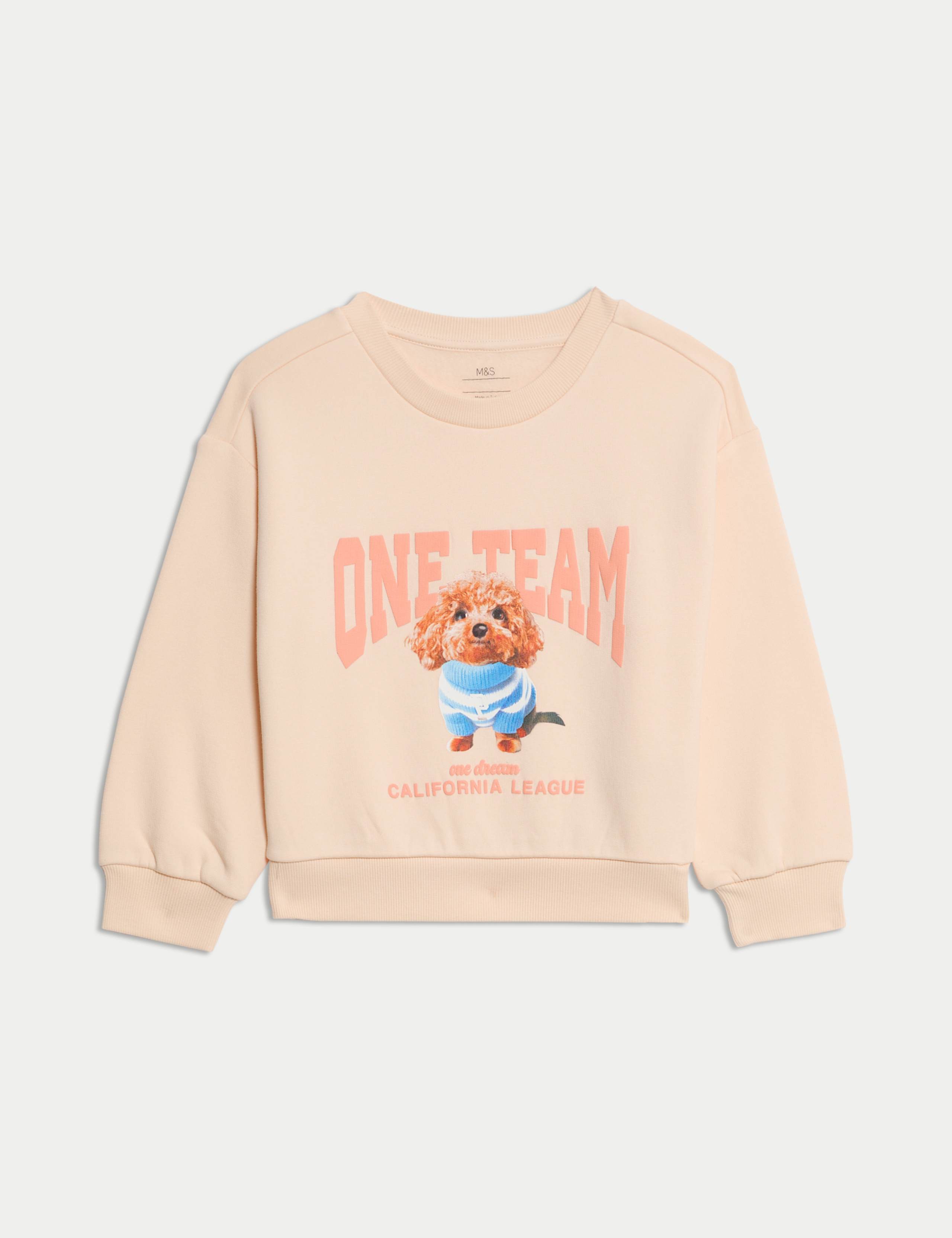 Cotton Rich Dog Graphic Sweatshirt (2-8 Yrs) 2 of 5