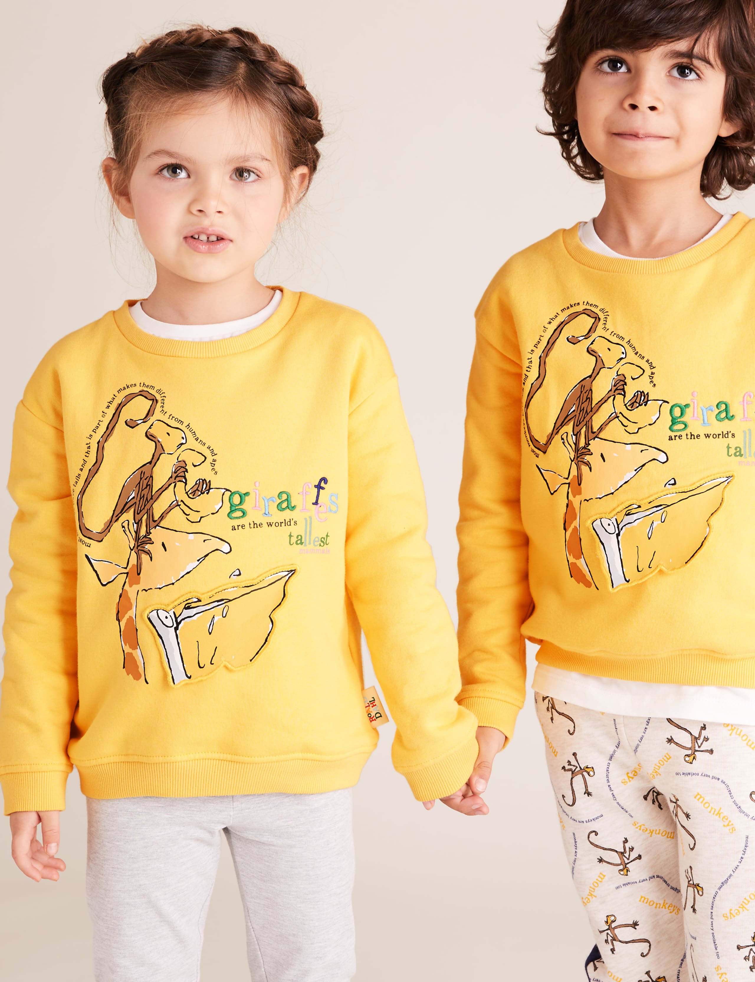Roald Dahl™ & NHM™ Giraffe Sweatshirt (2-7 Yrs) 1 of 6