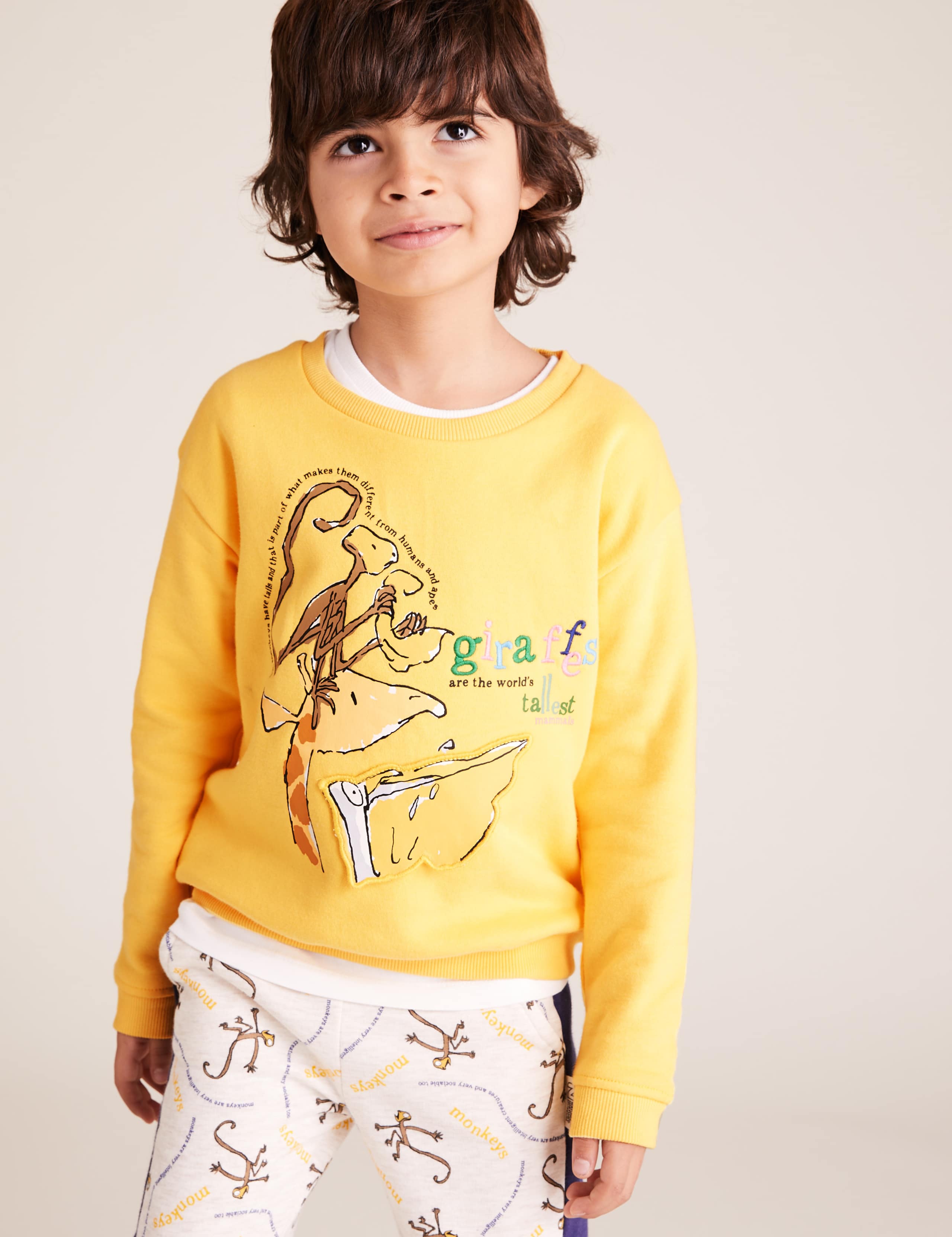 Roald Dahl™ & NHM™ Giraffe Sweatshirt (2-7 Yrs) 3 of 6