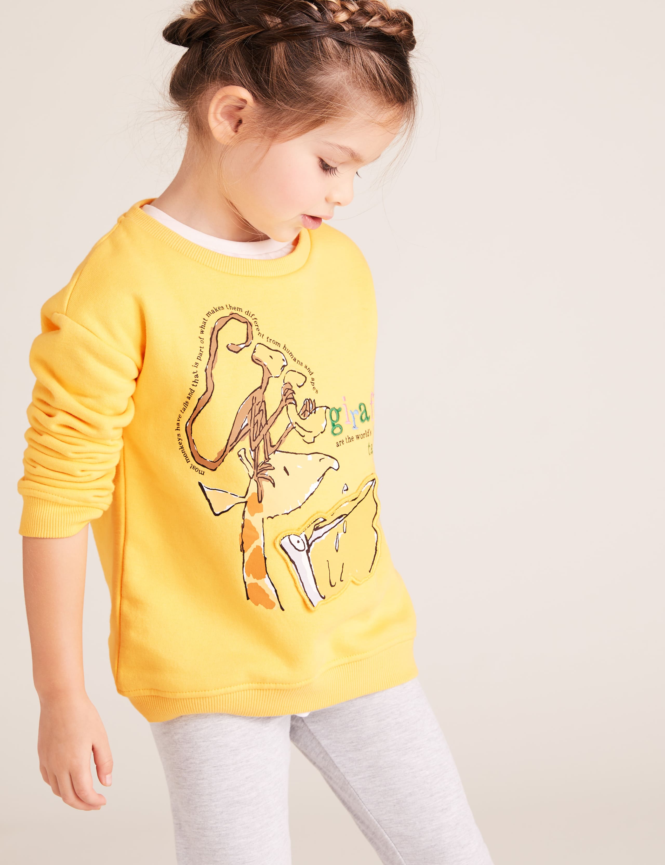 Roald Dahl™ & NHM™ Giraffe Sweatshirt (2-7 Yrs) 4 of 6