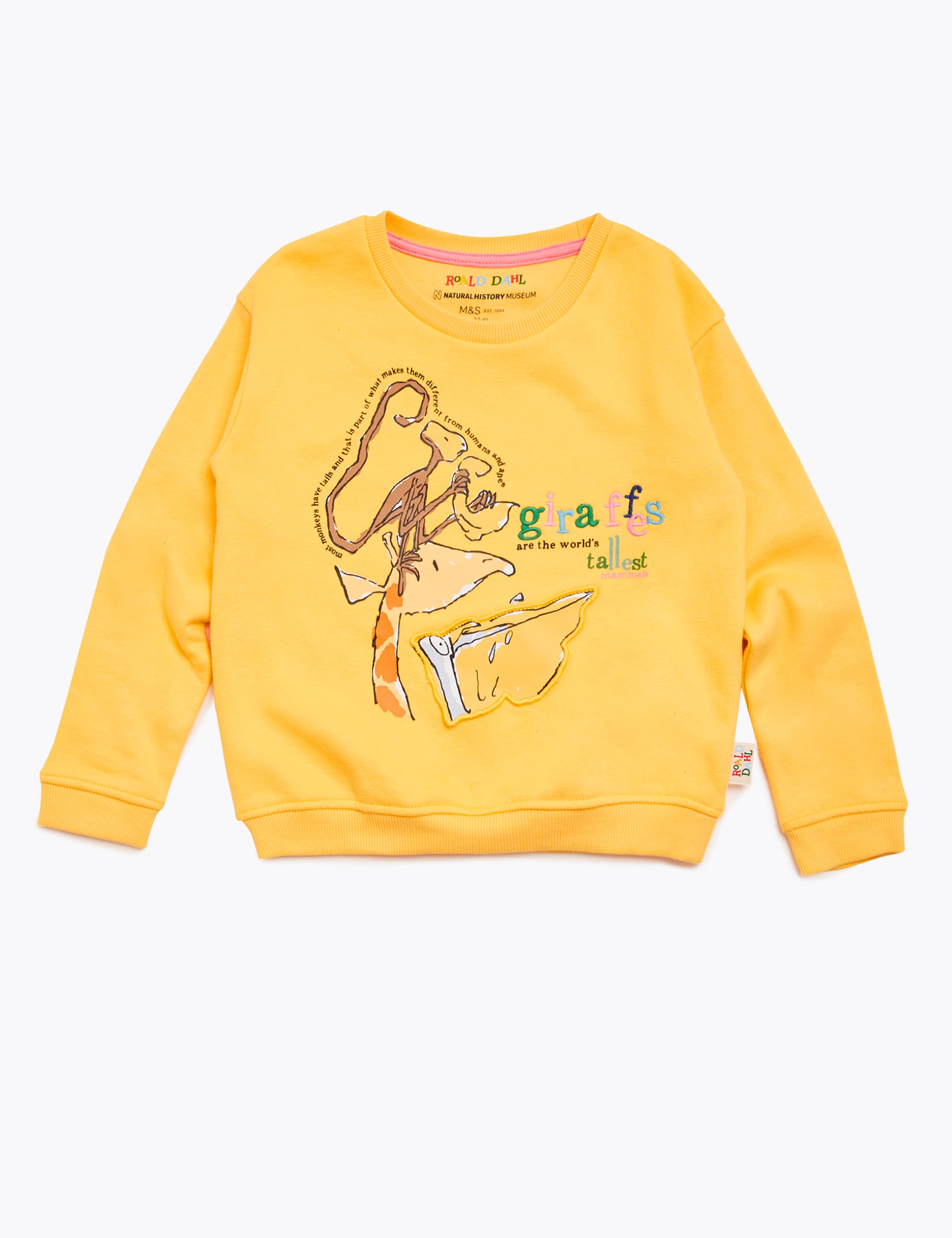 Roald Dahl™ & NHM™ Giraffe Sweatshirt (2-7 Yrs) 2 of 6