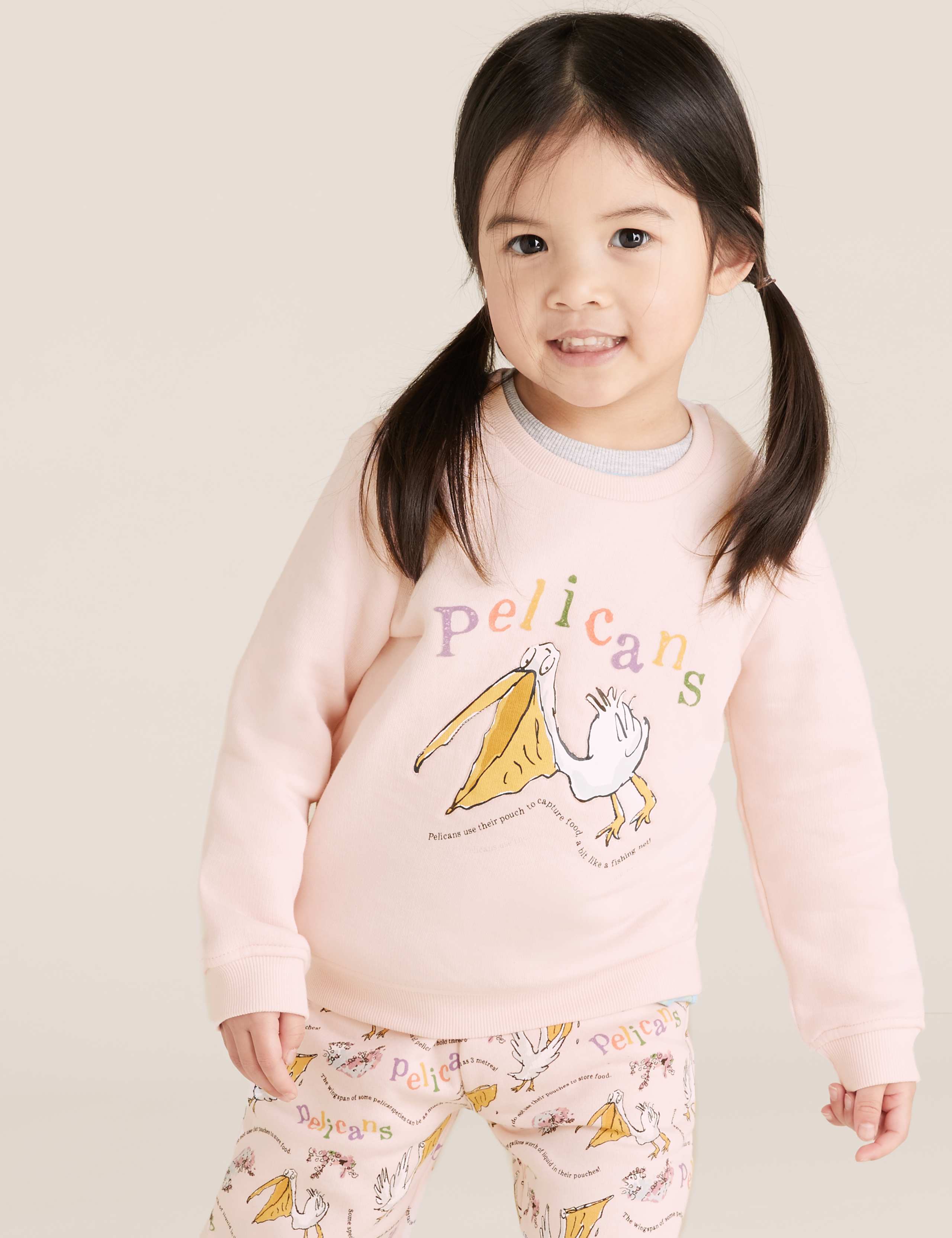 Roald Dahl™ & NHM™ Pelican Sweatshirt (2-7 Yrs) 4 of 6