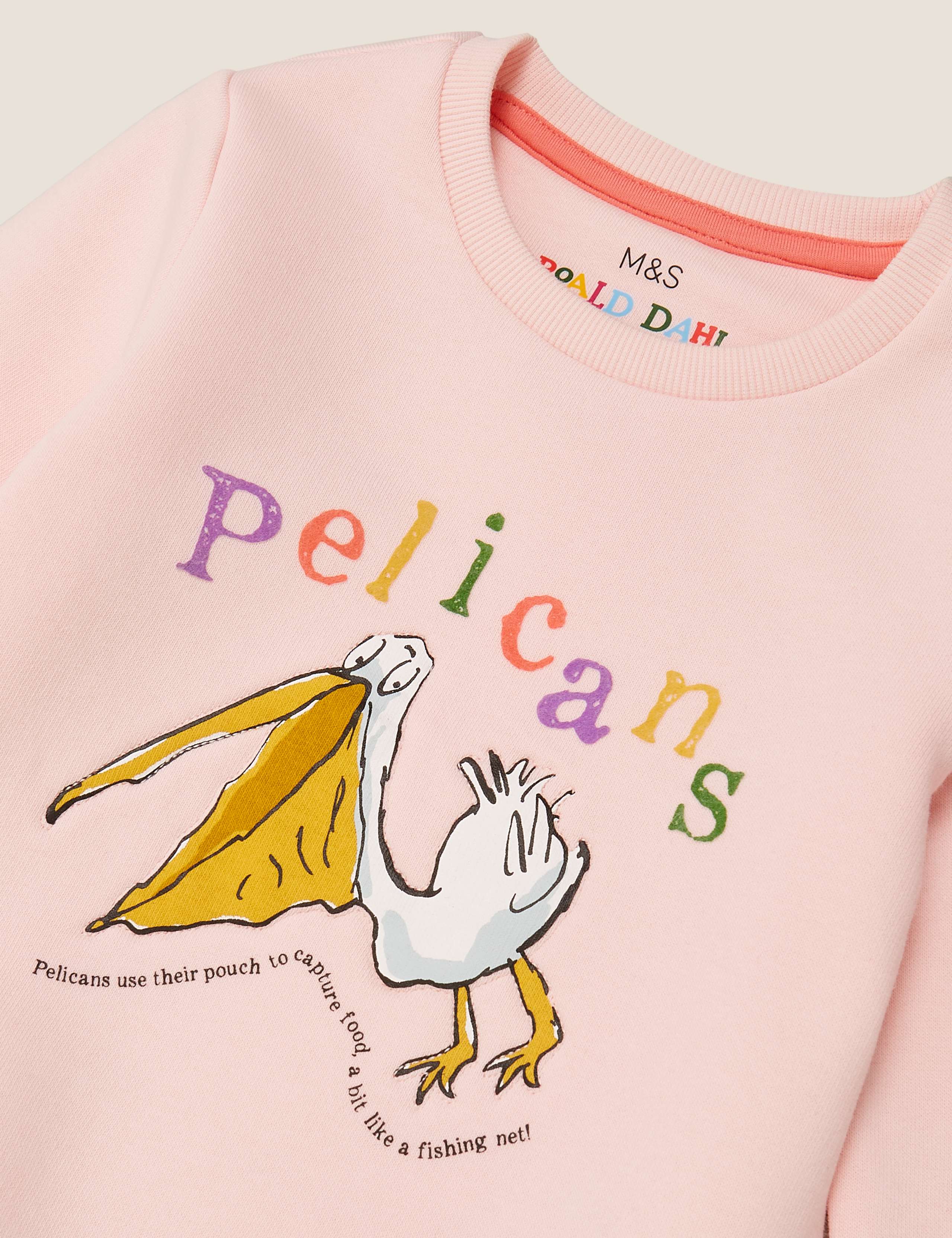 Roald Dahl™ & NHM™ Pelican Sweatshirt (2-7 Yrs) 6 of 6