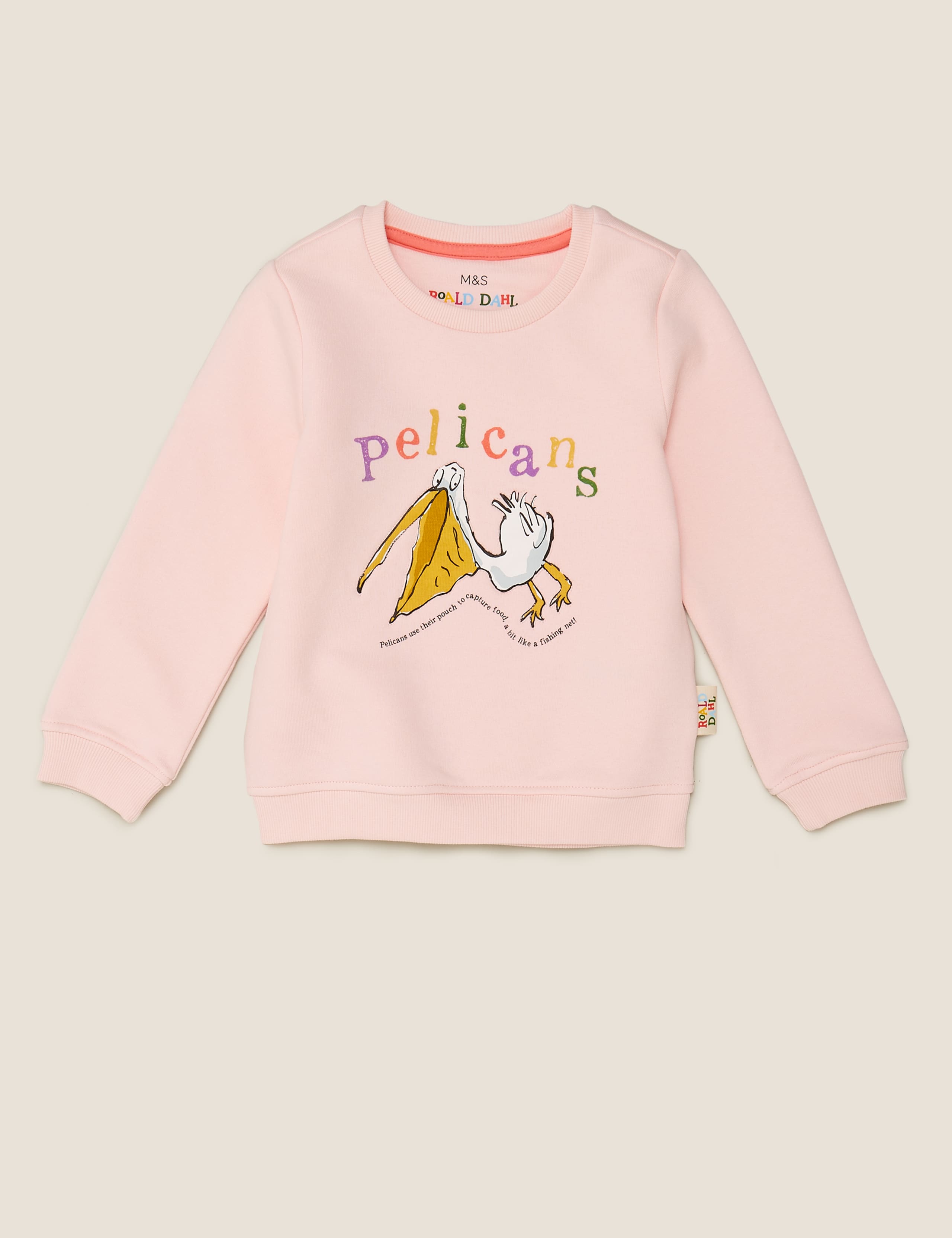 Roald Dahl™ & NHM™ Pelican Sweatshirt (2-7 Yrs) 2 of 6