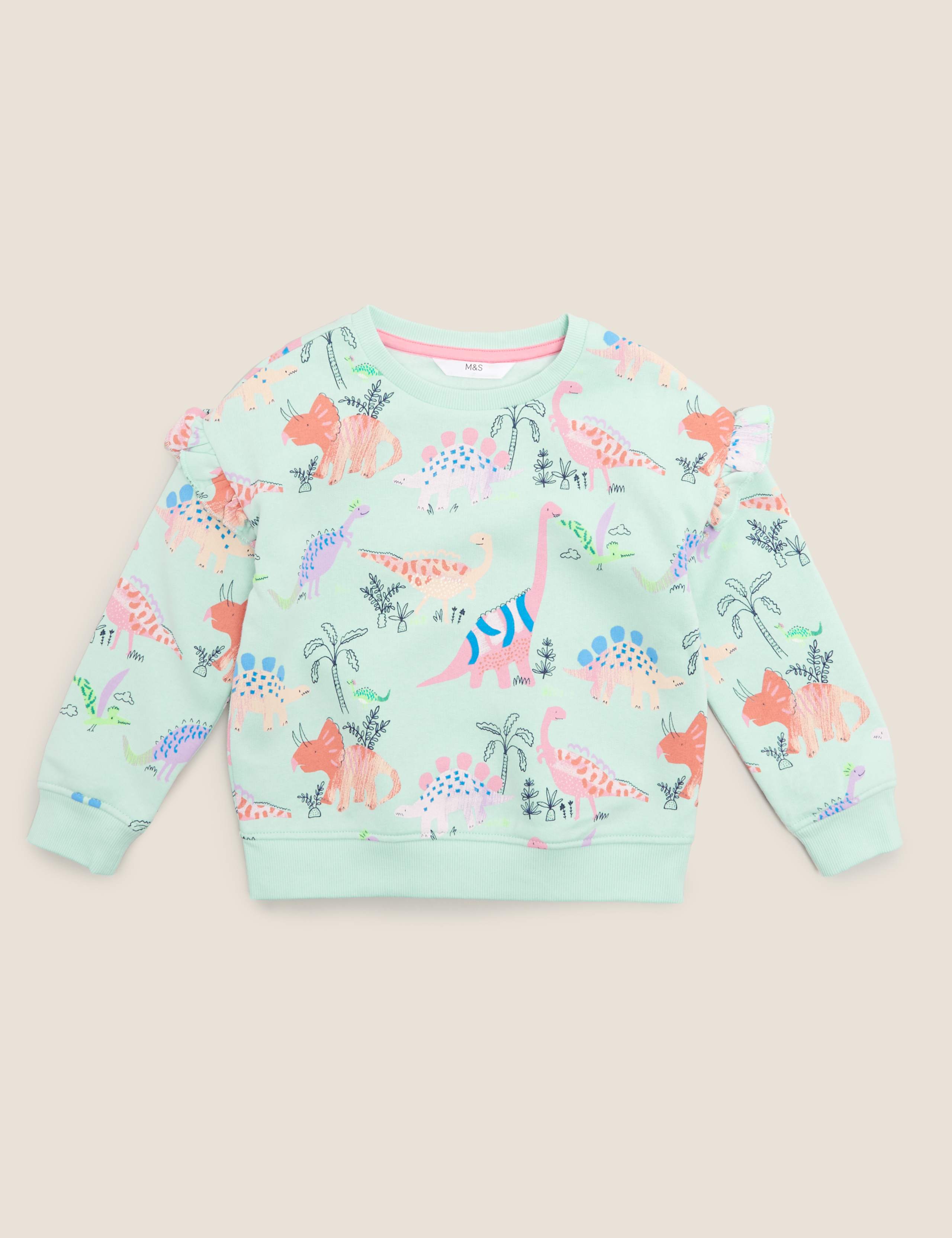 Cotton Dinosaur Print Sweatshirt (2-7 Yrs) 2 of 4