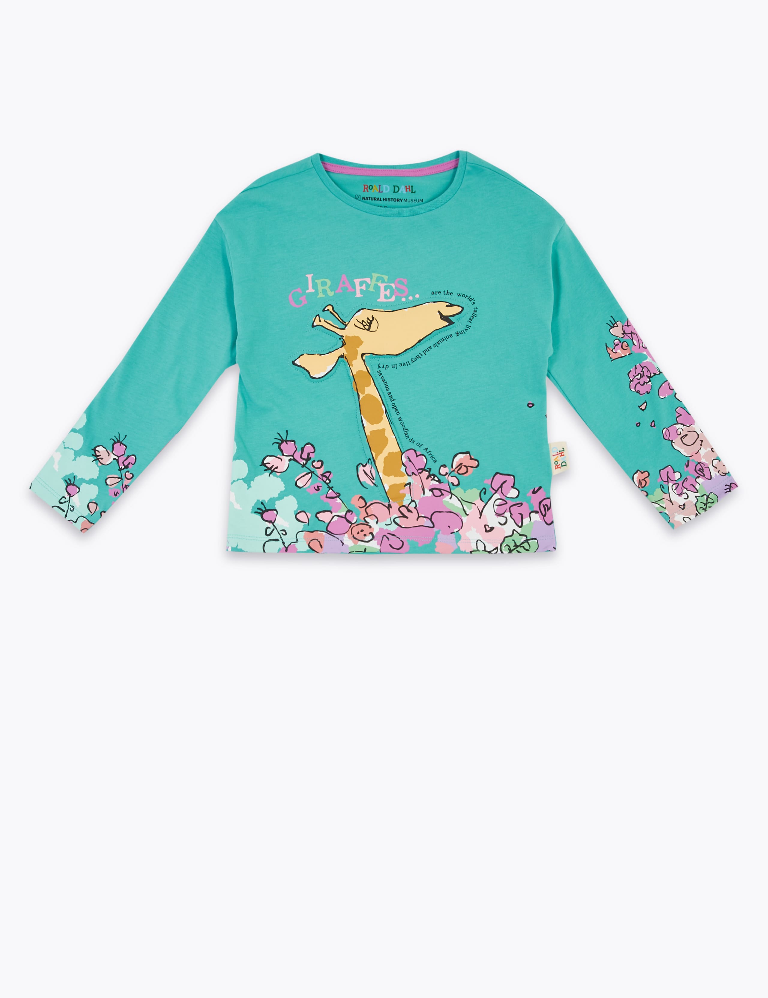 Roald Dahl™ & NHM™ Giraffe Top (2-7 Yrs) 2 of 4