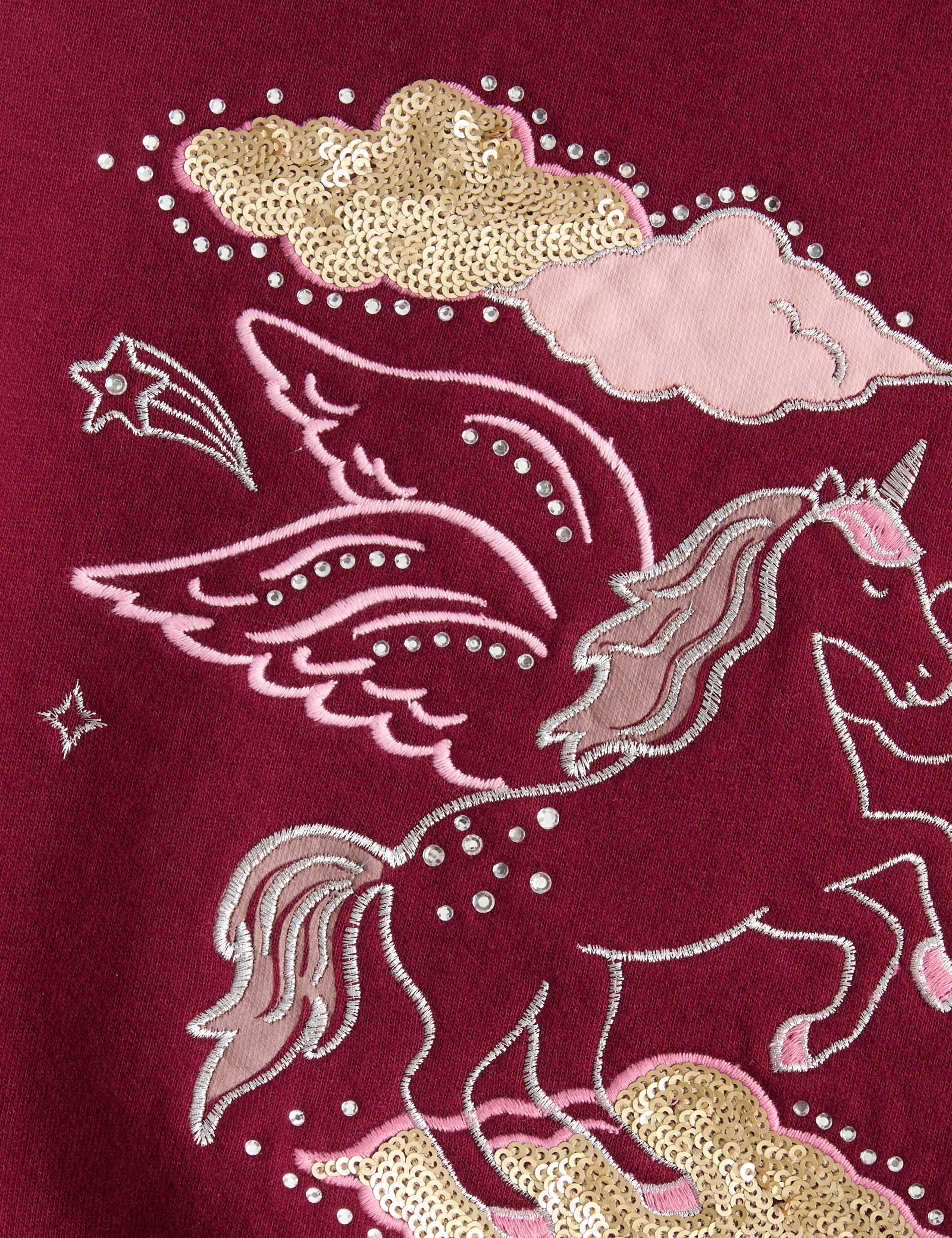 Cotton Rich Pegasus Sweatshirt (2-8 Yrs) 2 of 2