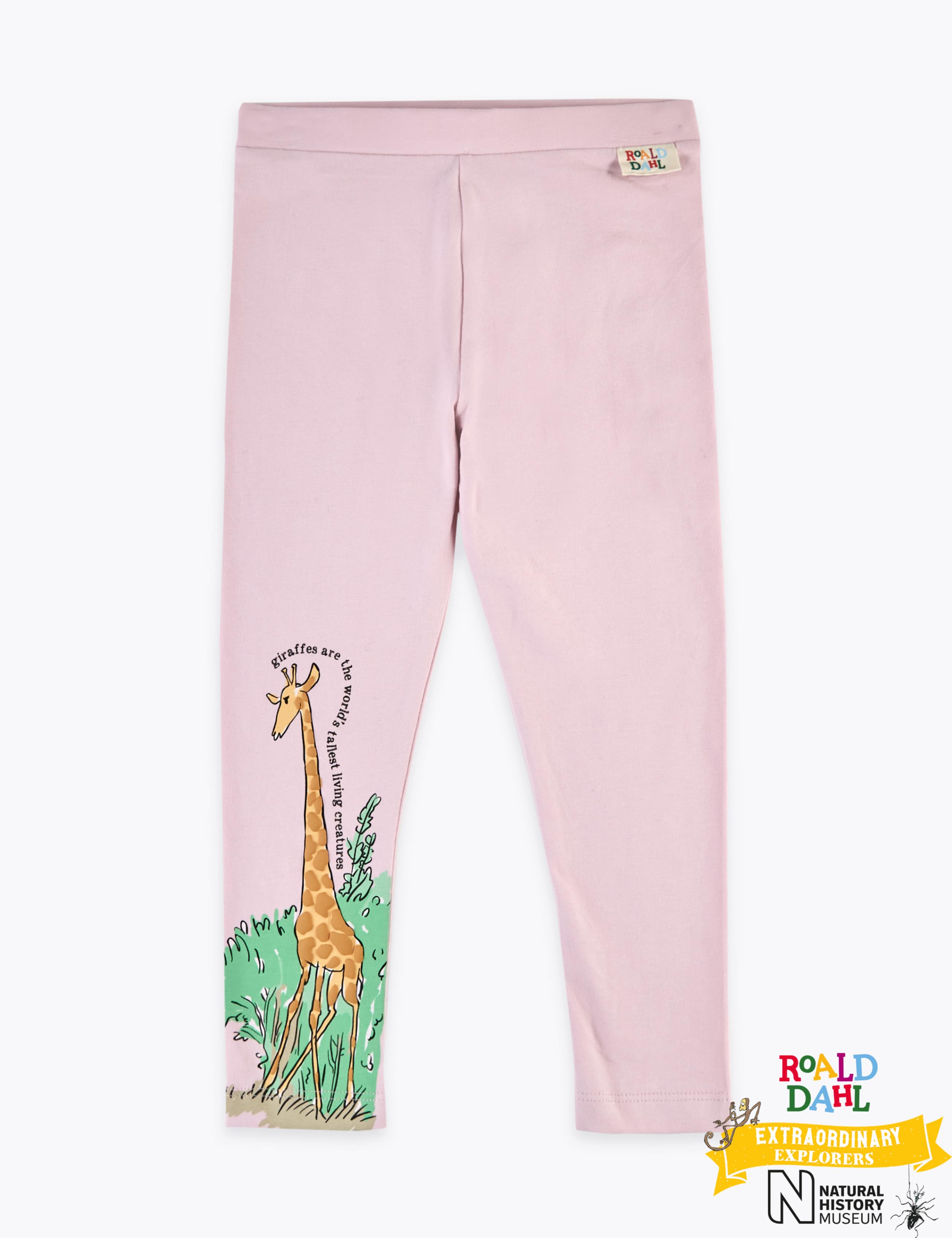 Roald Dahl™ & NHM™ Giraffe Leggings (2-7 Yrs) 2 of 5