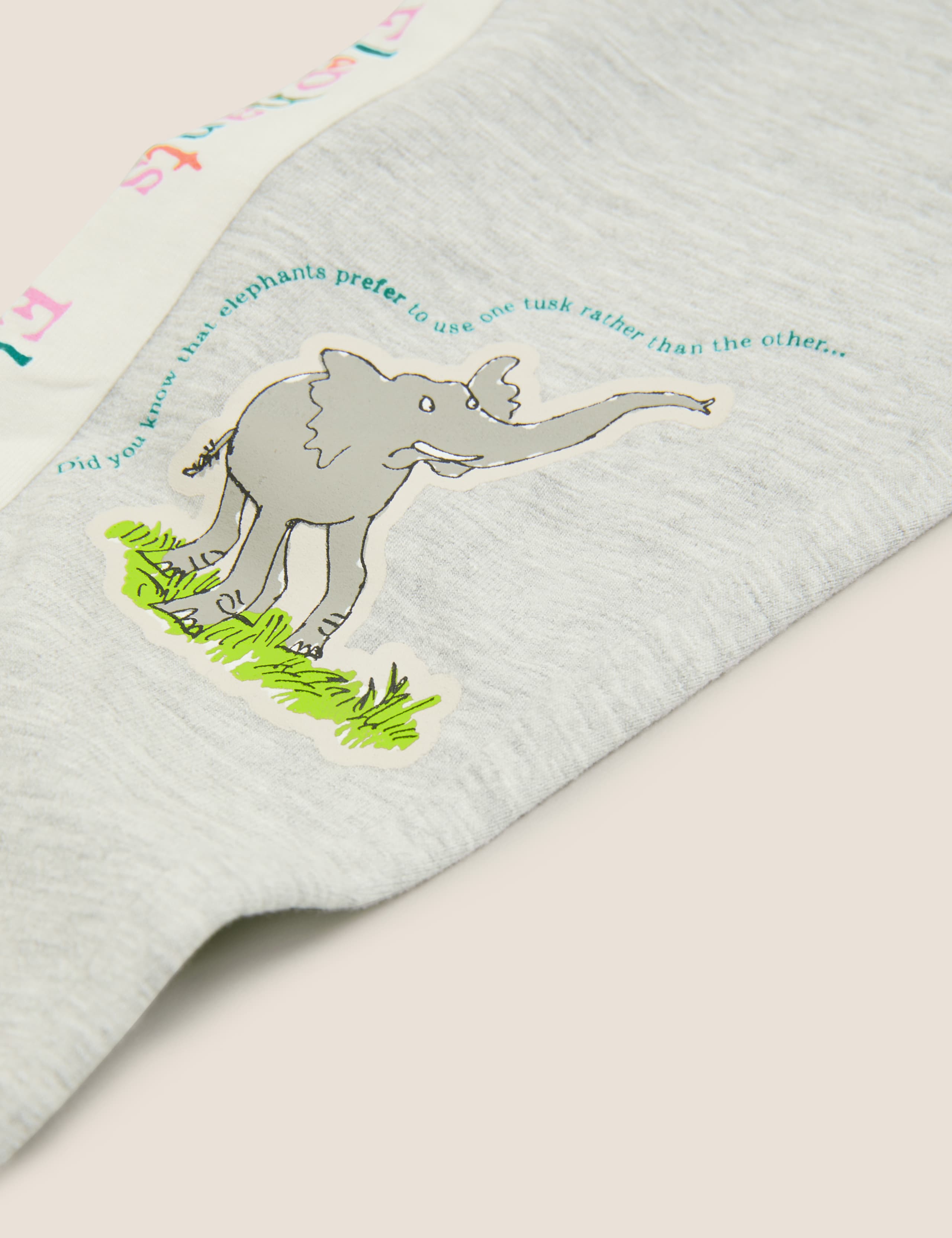 Roald Dahl™ & NHM™ Elephant Leggings (2-7 Yrs) 6 of 6