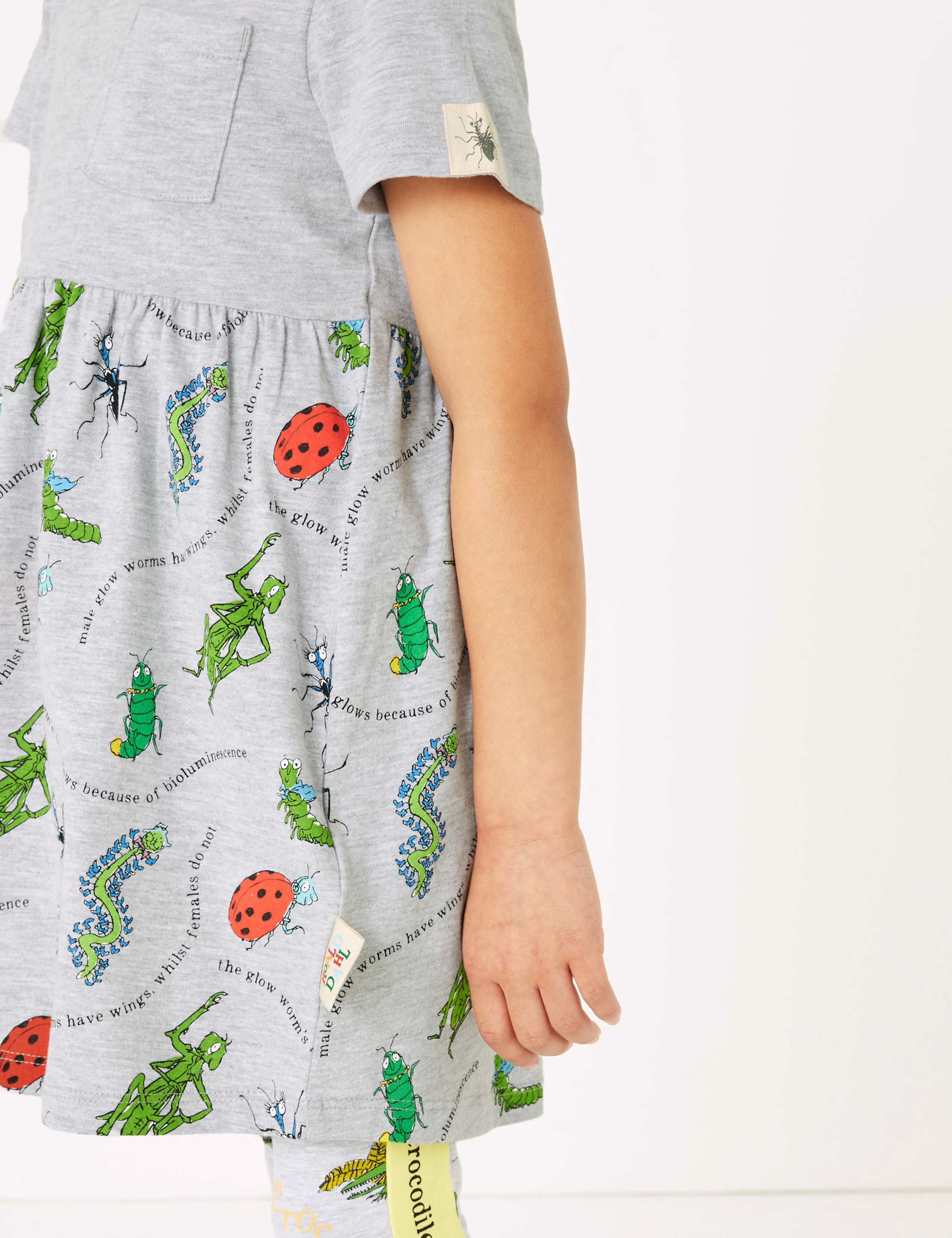 Roald Dahl™ & NHM™ Bug Dress (2-7 Yrs) 3 of 4