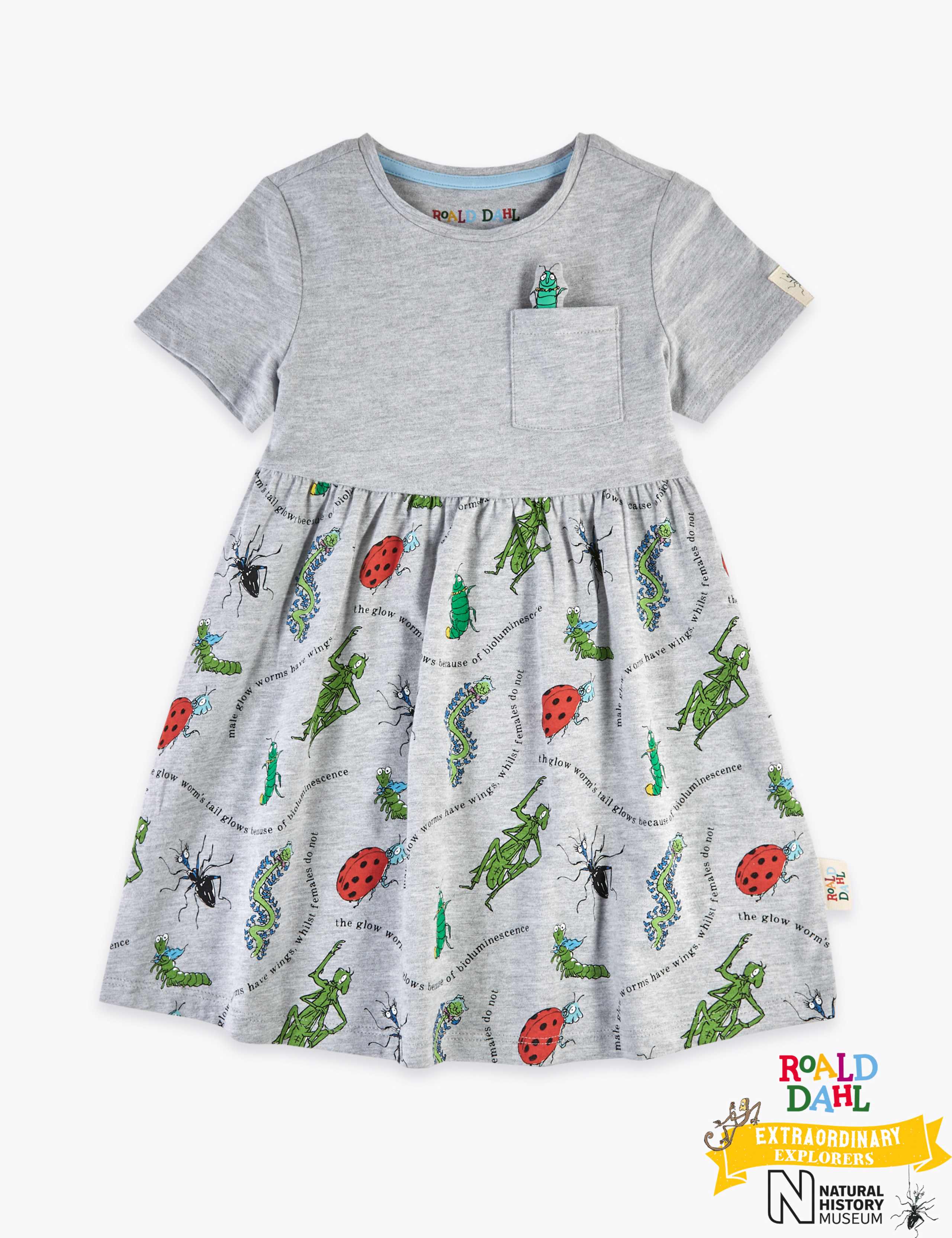 Roald Dahl™ & NHM™ Bug Dress (2-7 Yrs) 2 of 4
