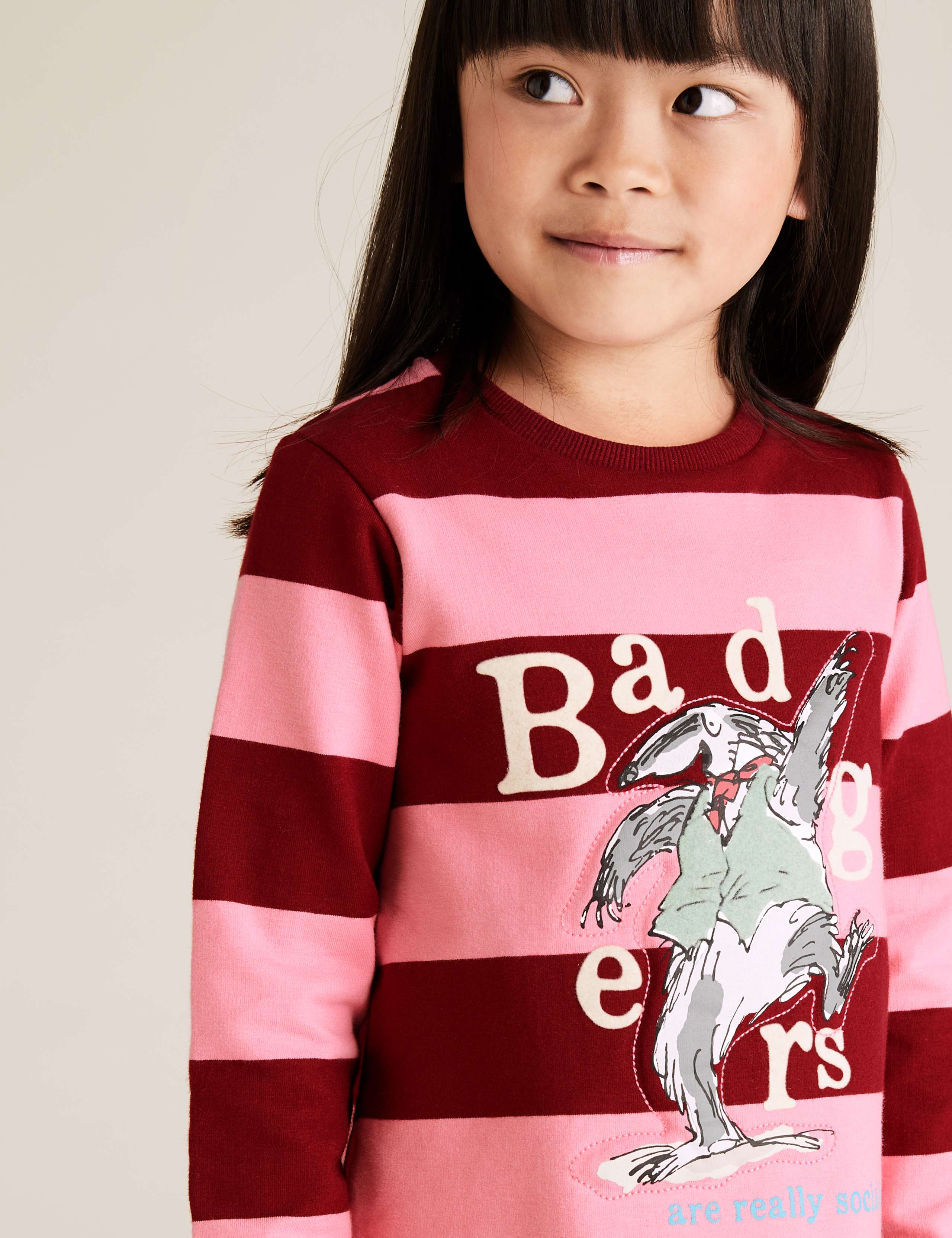 Roald Dahl™ & NHM™ Badger Sweat Dress (2-7 Yrs) 3 of 4