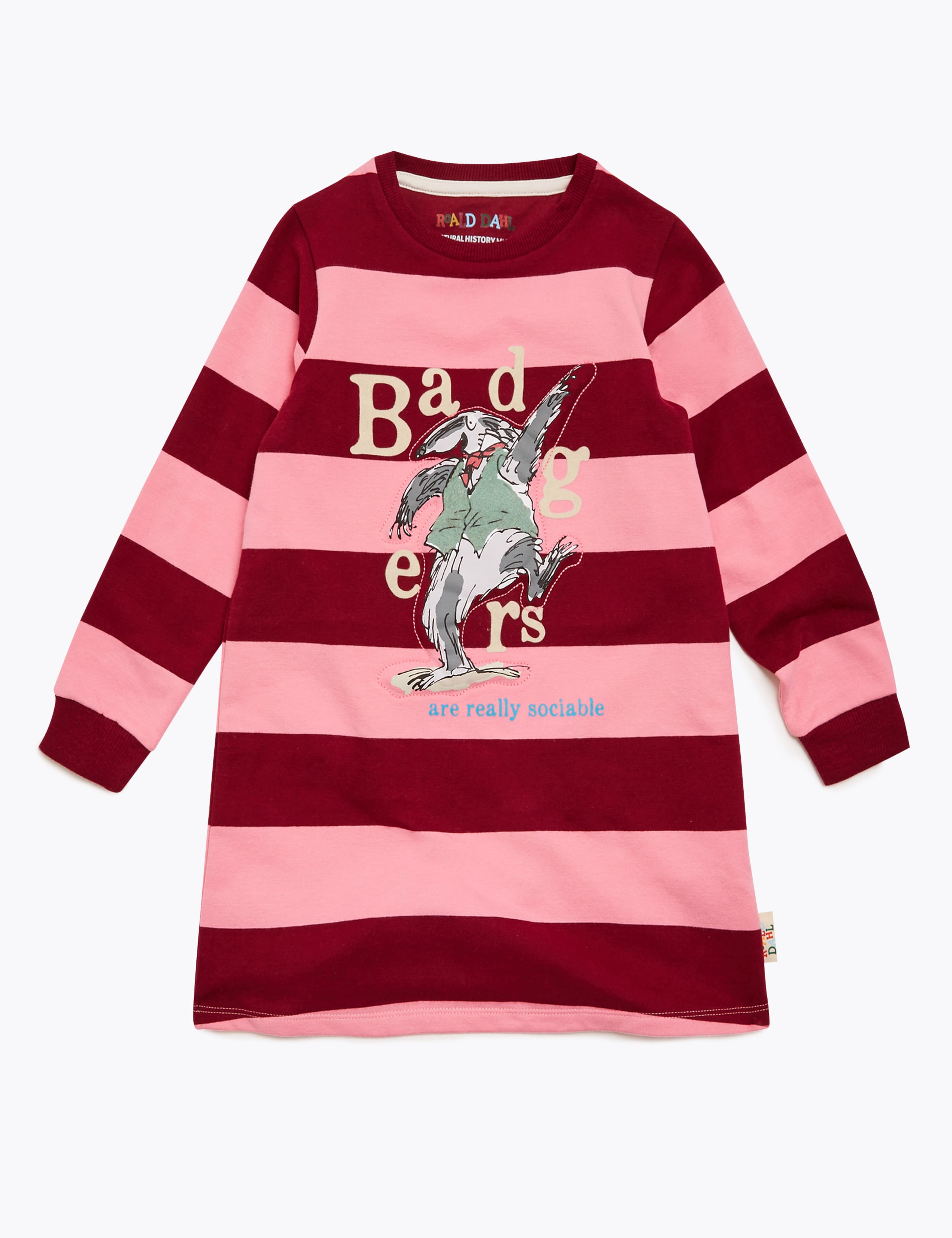 Roald Dahl™ & NHM™ Badger Sweat Dress (2-7 Yrs) 2 of 4