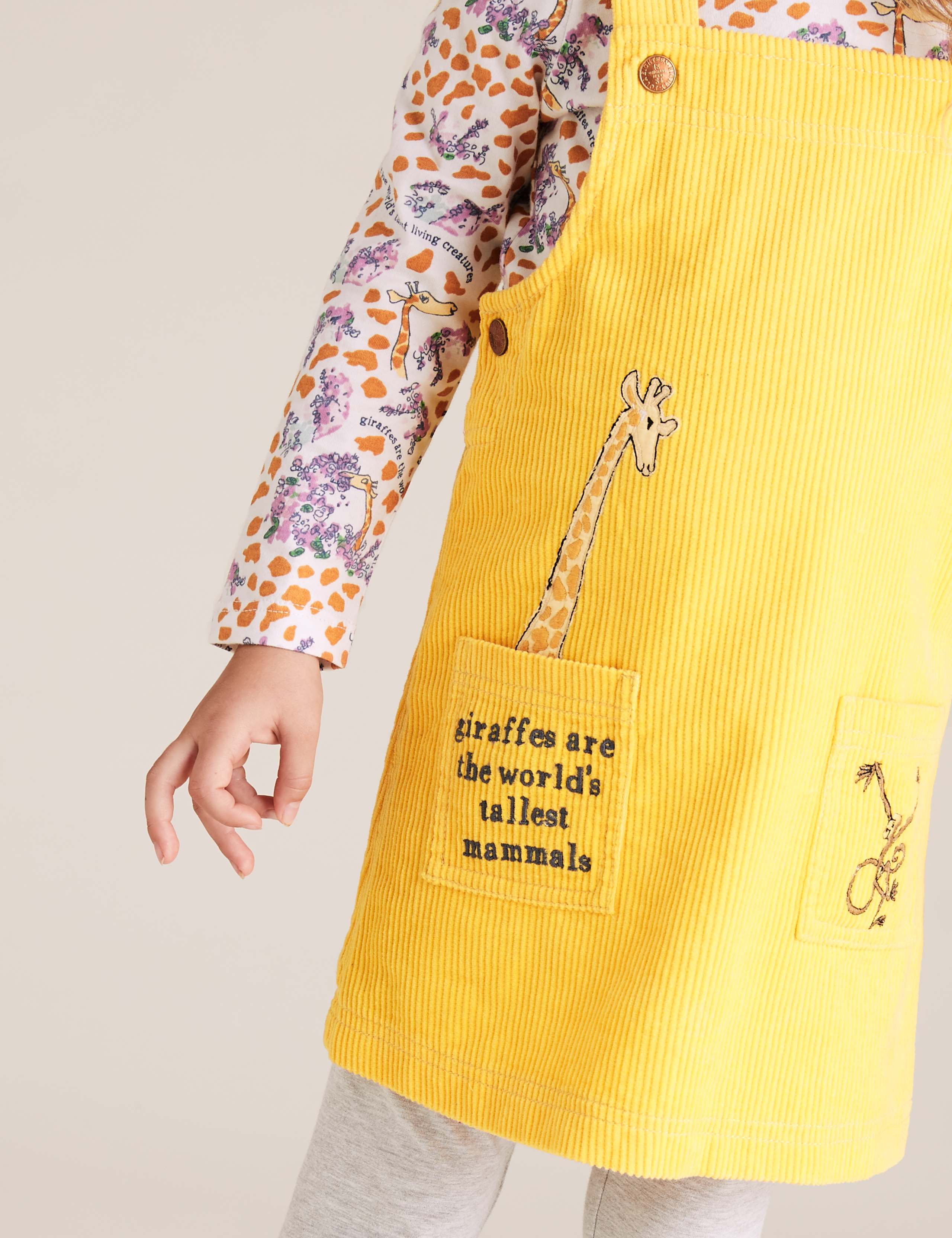 2pc Roald Dahl™ & NHM™ Outfit (2-7 Yrs) 3 of 5