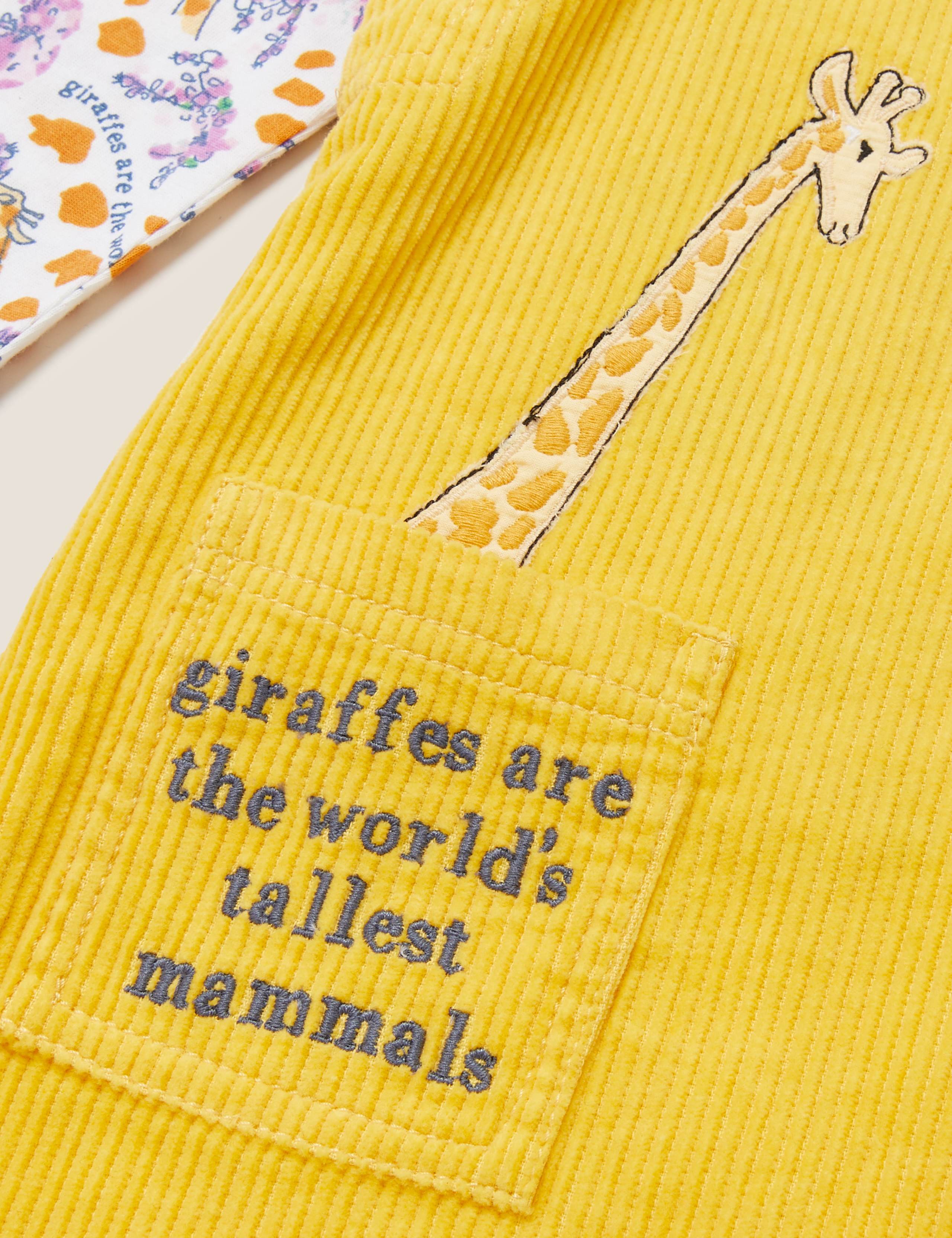 2pc Roald Dahl™ & NHM™ Outfit (2-7 Yrs) 5 of 5