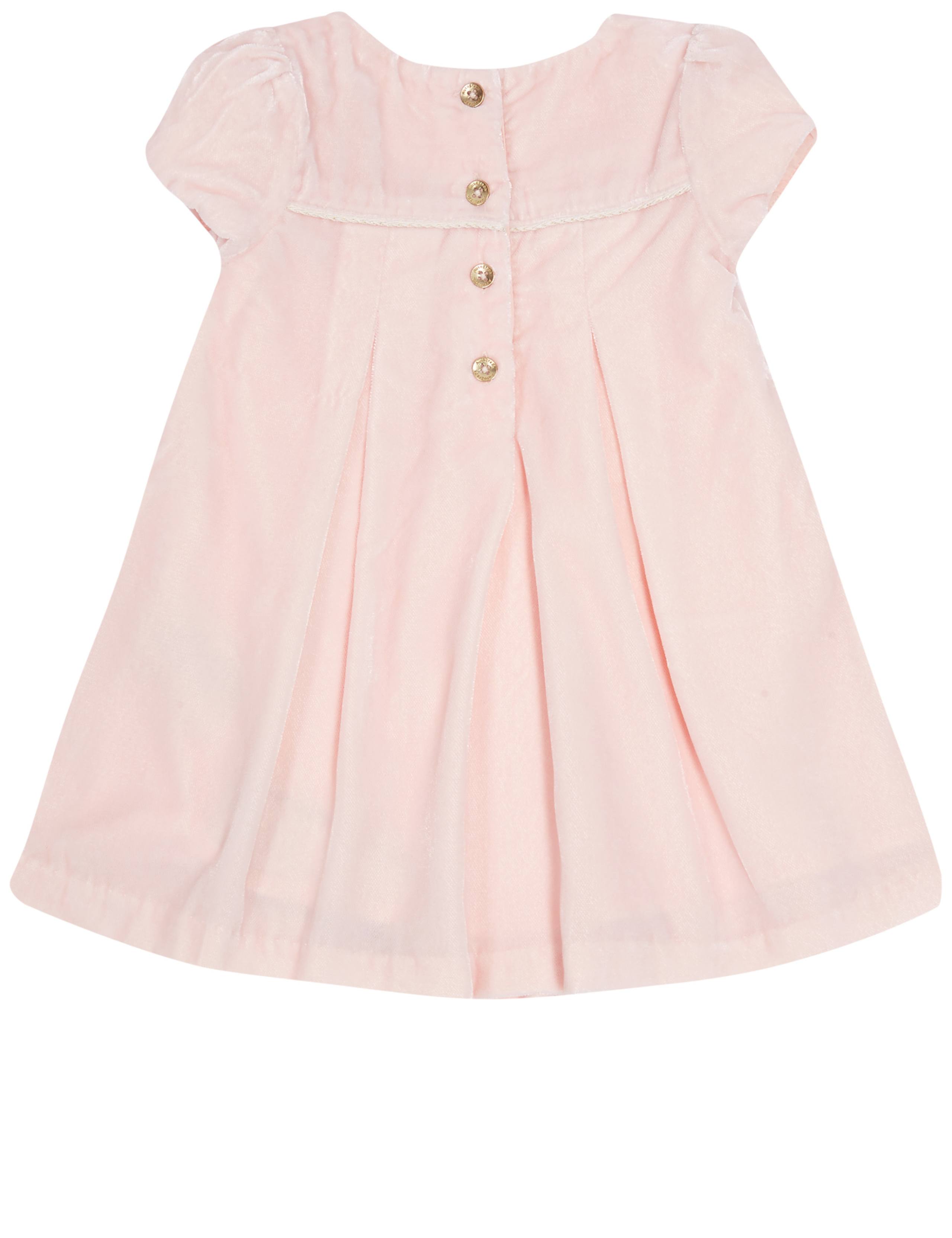 Short Sleeve Velvet Dress with Tights 7 of 7