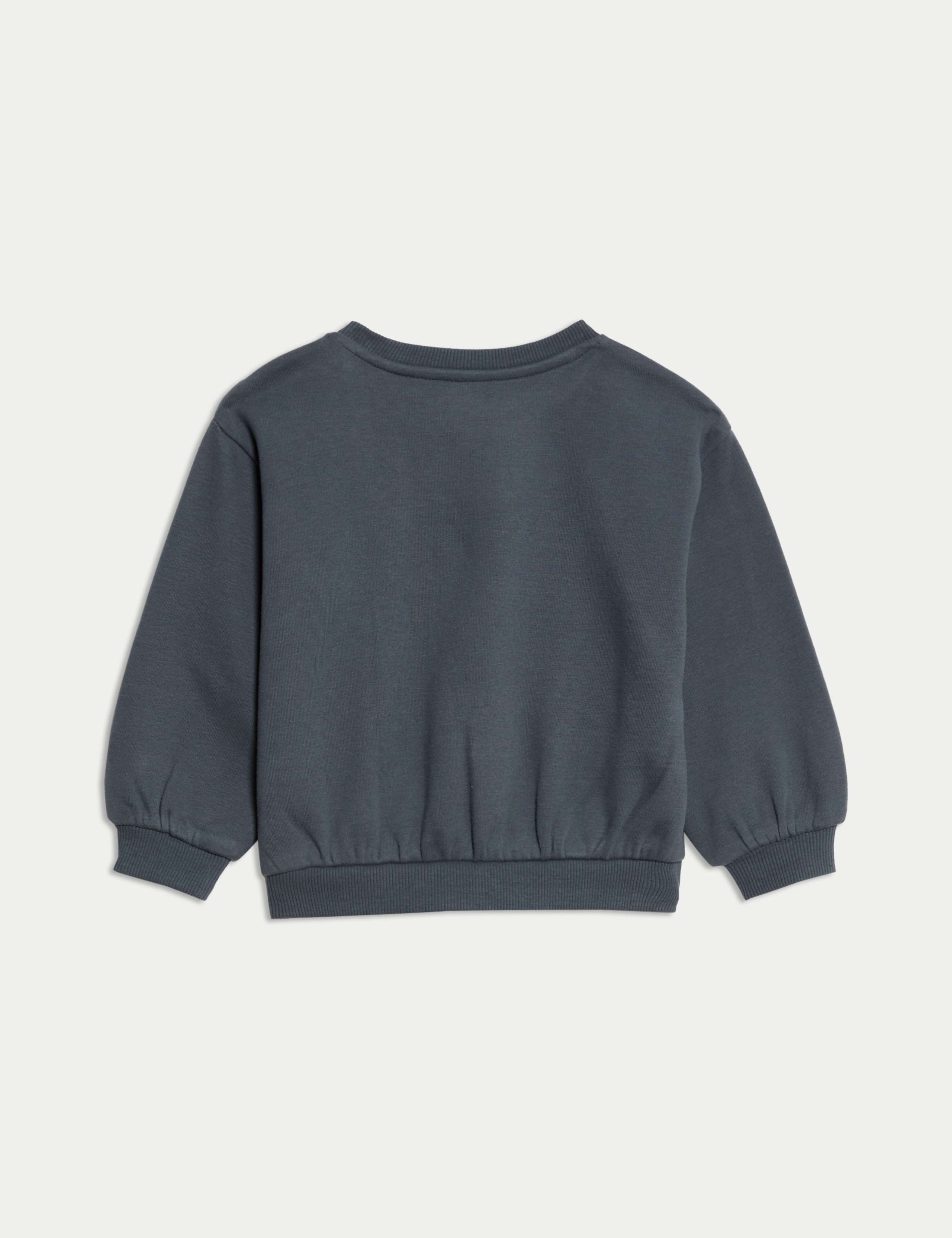 Jersey Embroidered Nature Sweatshirt (0-6 Yrs) 2 of 3