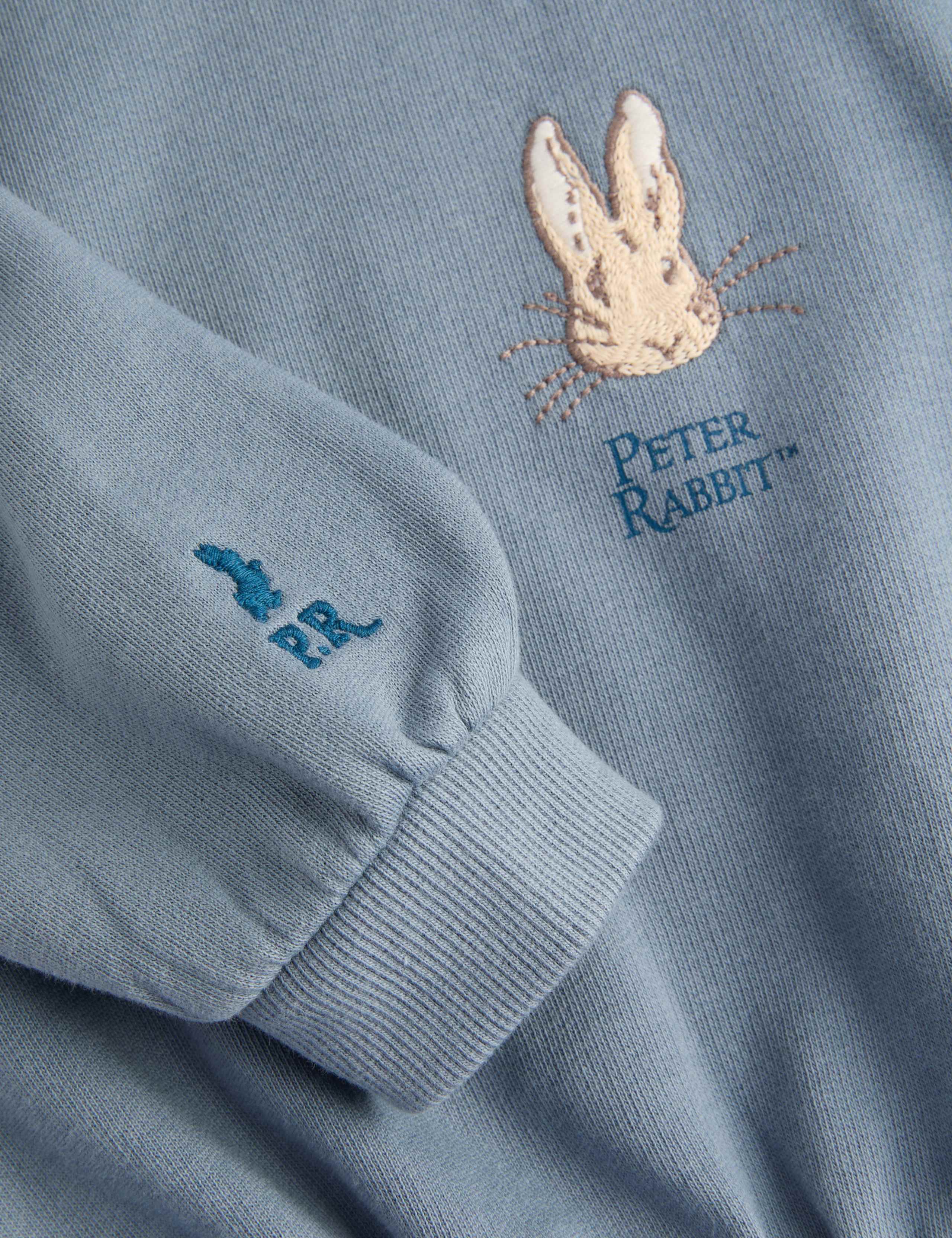 2pc Cotton Rich Peter Rabbit™ Hoodie Outfit (0-3 Yrs) 3 of 3