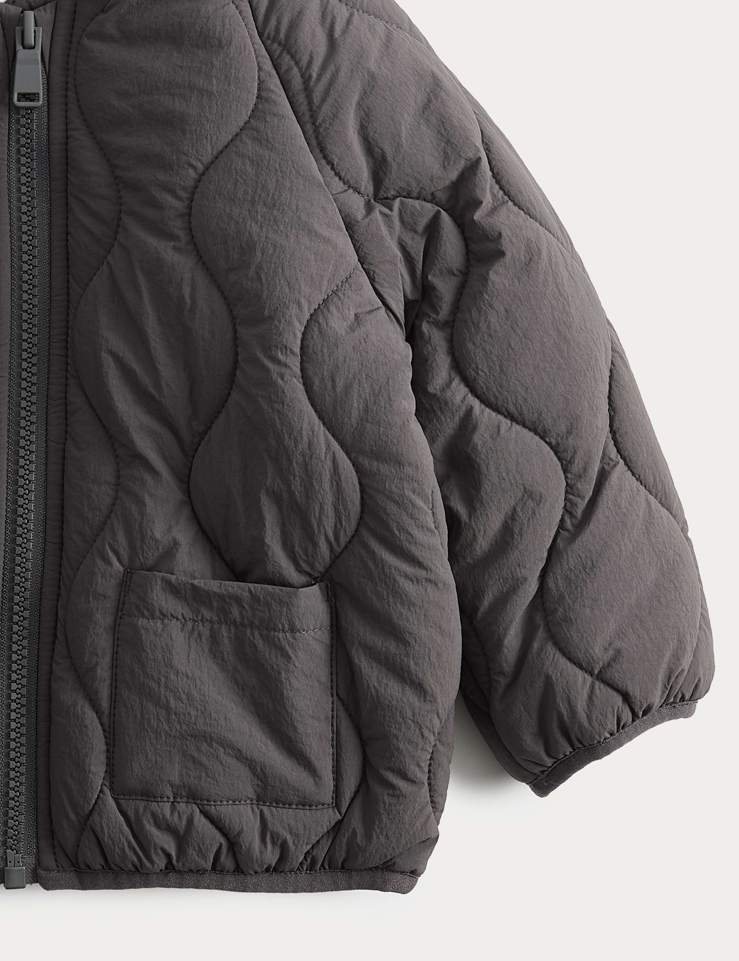 Lightweight Padded Jacket (0 Mths - 5 Yrs) 3 of 3