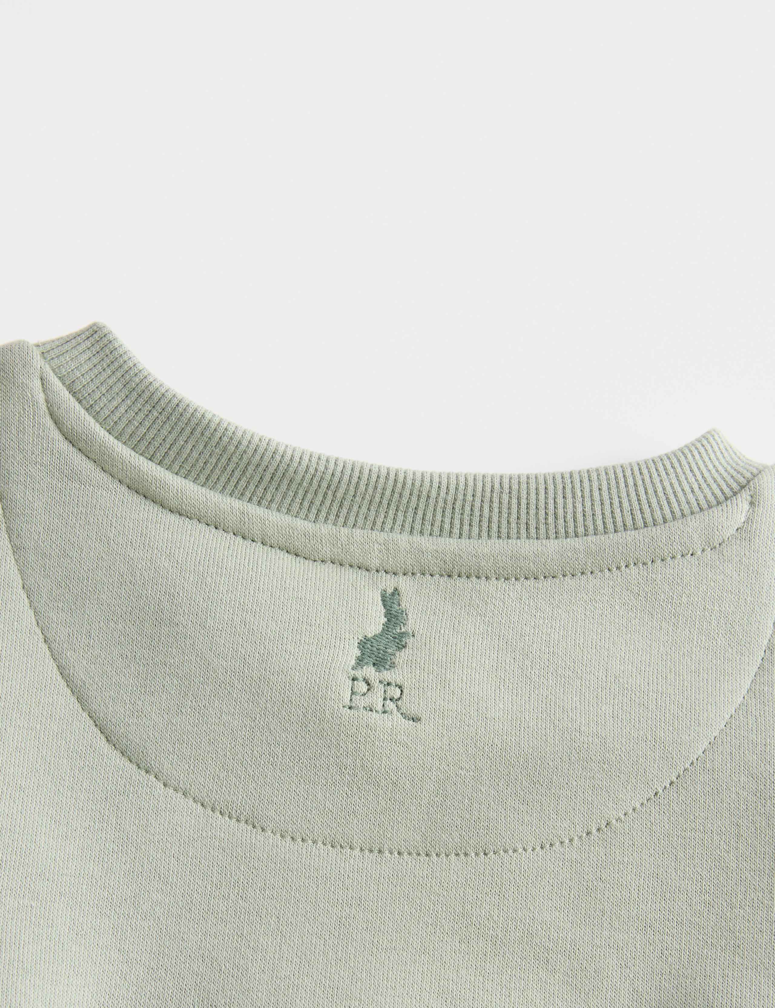 2pc Cotton Rich Peter Rabbit™ Sweat Outfit (0-3 Yrs) 2 of 4
