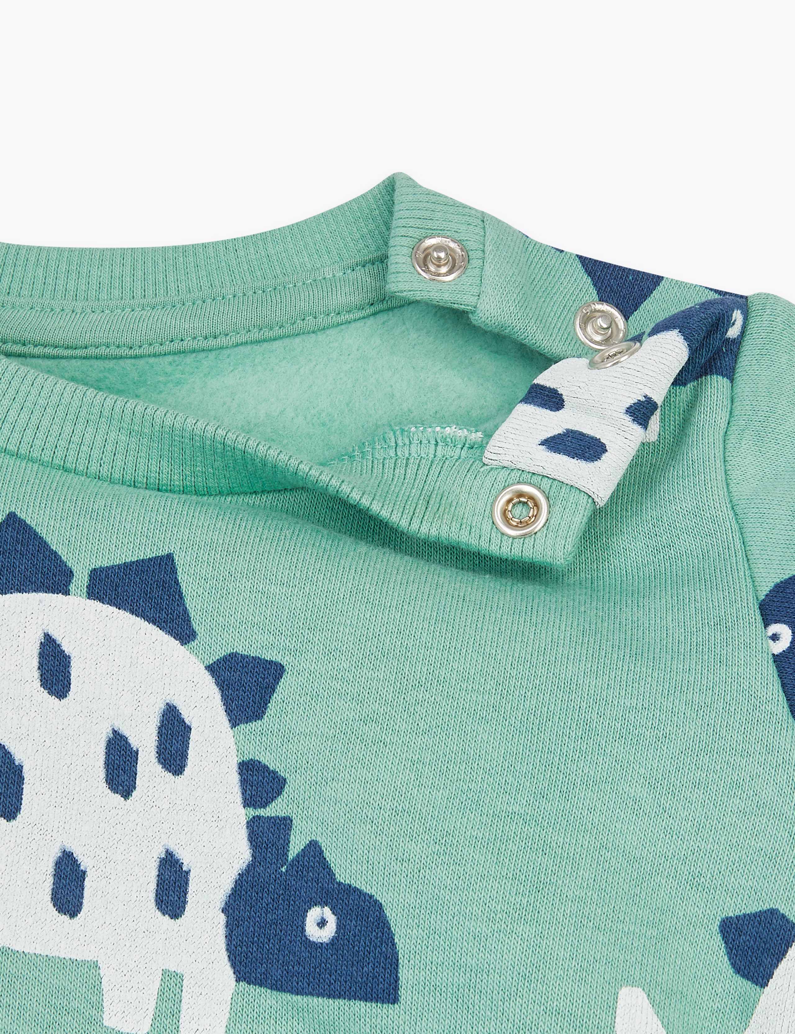 Cotton Dinosaur Print Sweatshirt (0-3 Yrs) 3 of 3