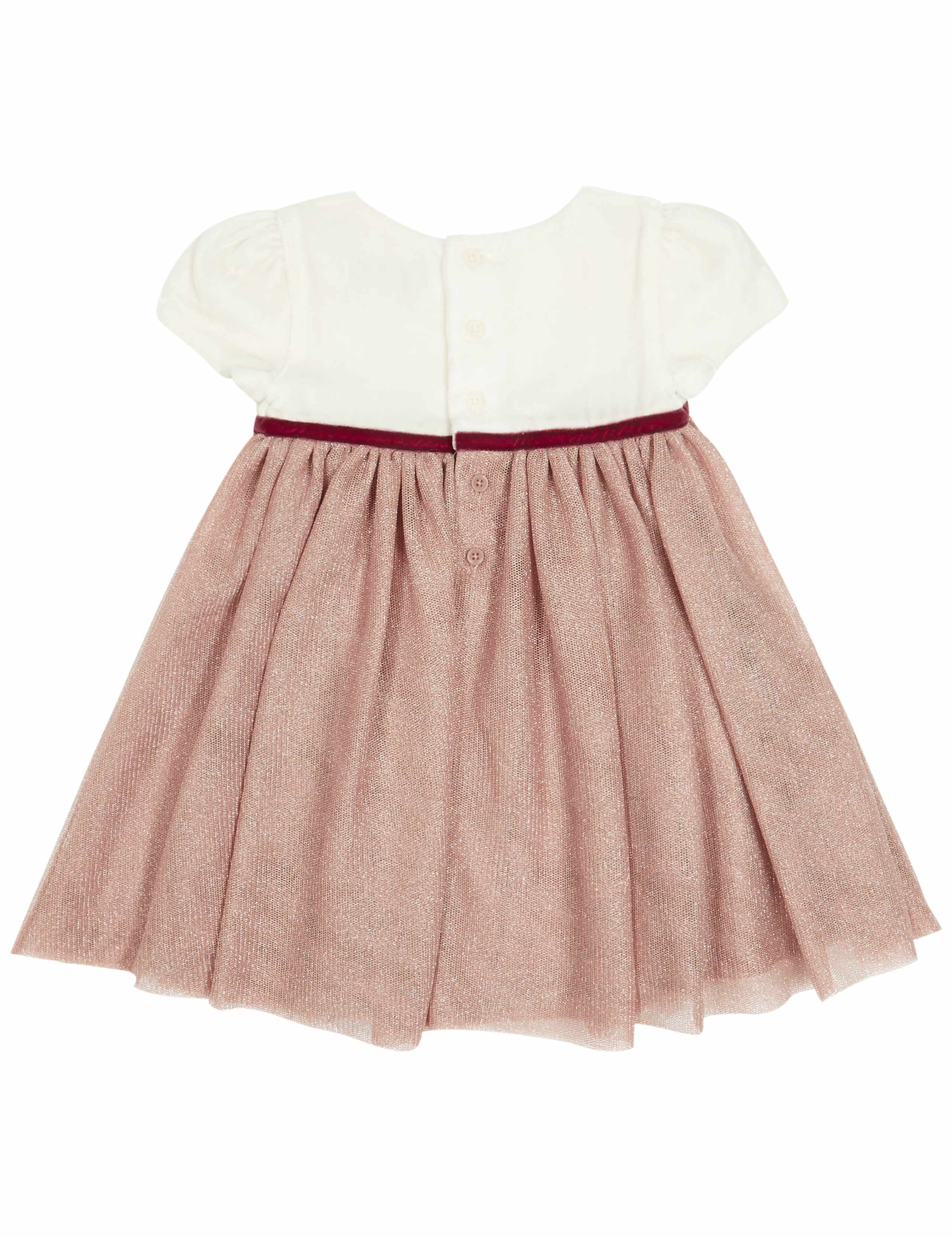 Velvet Tutu Baby Dress 5 of 5