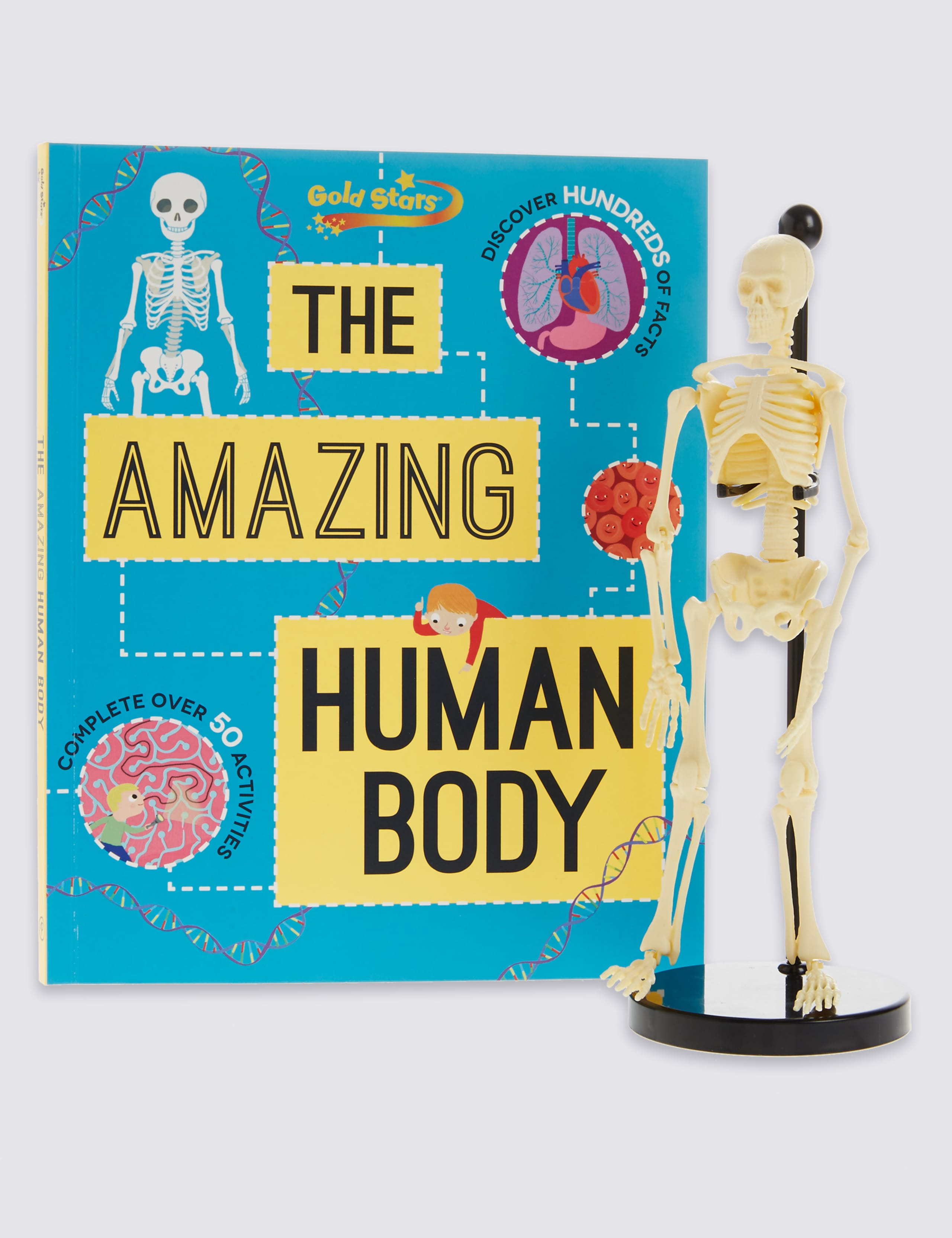 Human Body Factivity Book 1 of 3