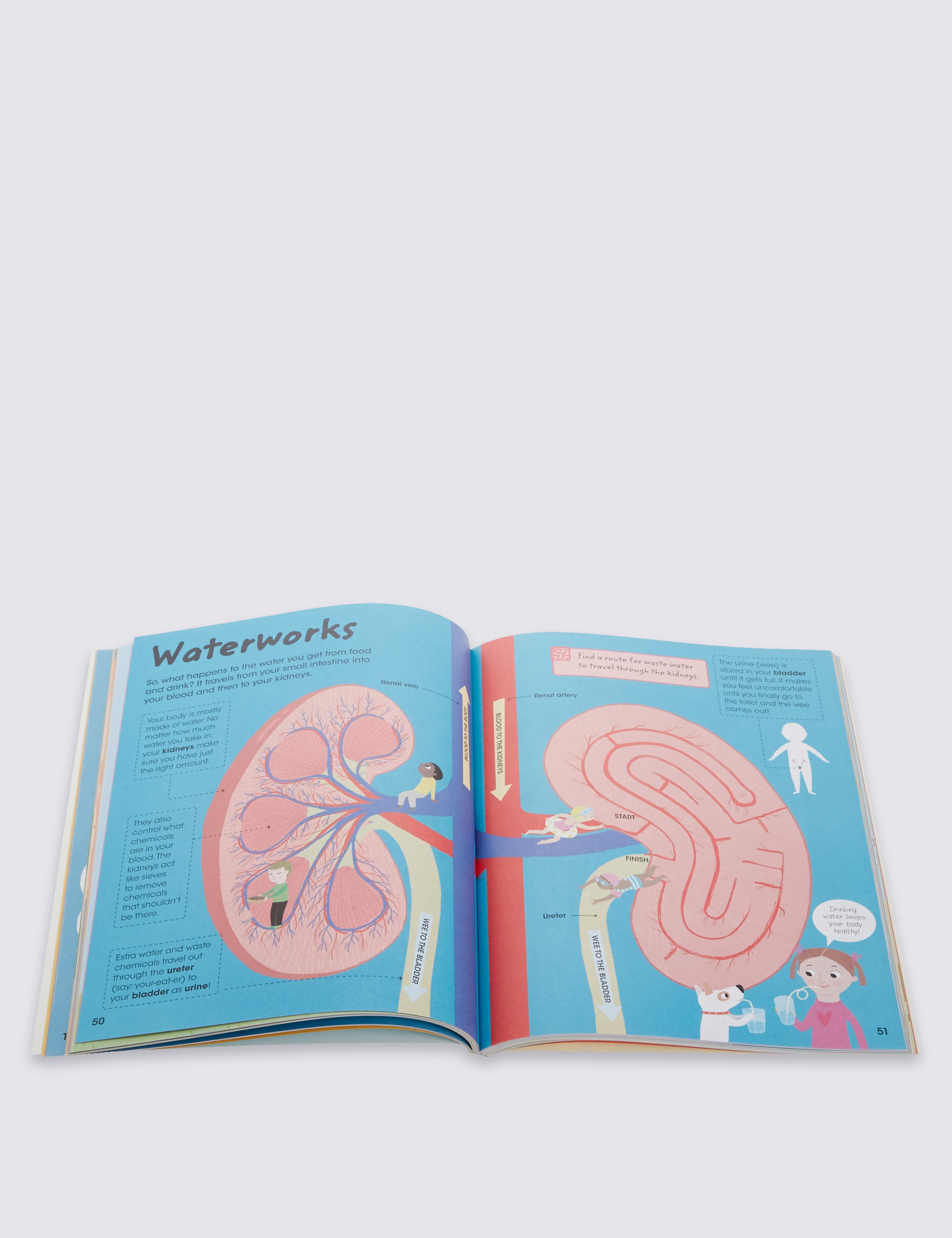 Human Body Factivity Book 3 of 3