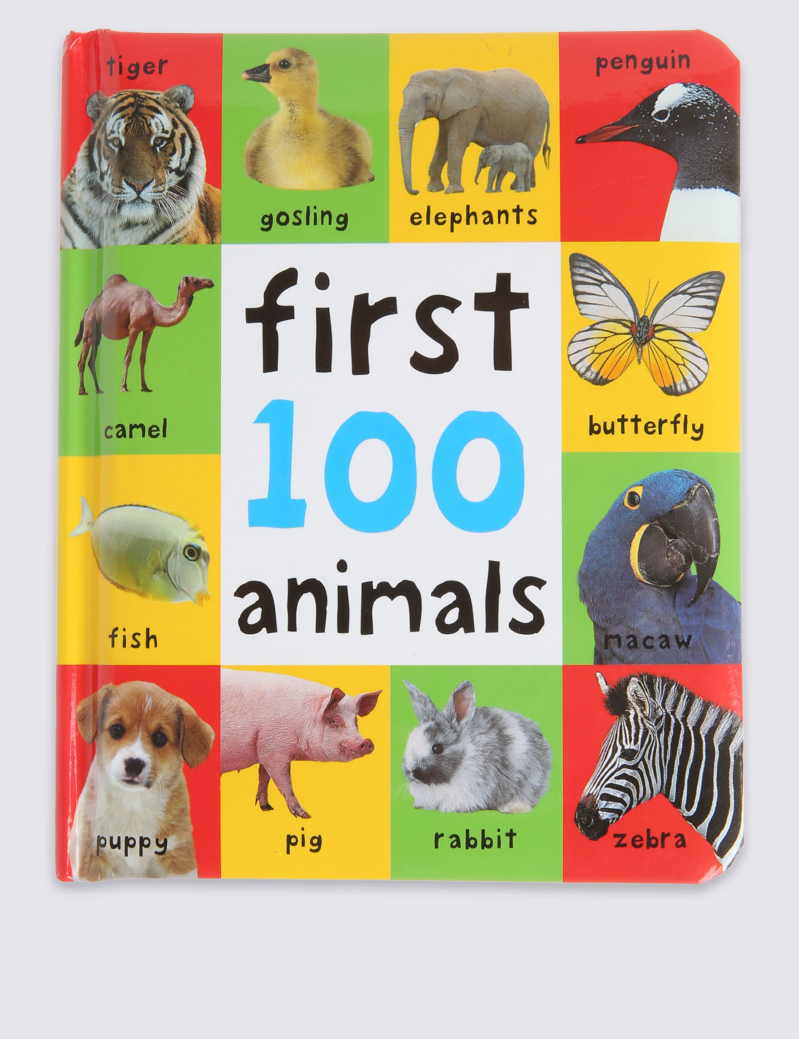 First 100 Animals Book 1 of 3