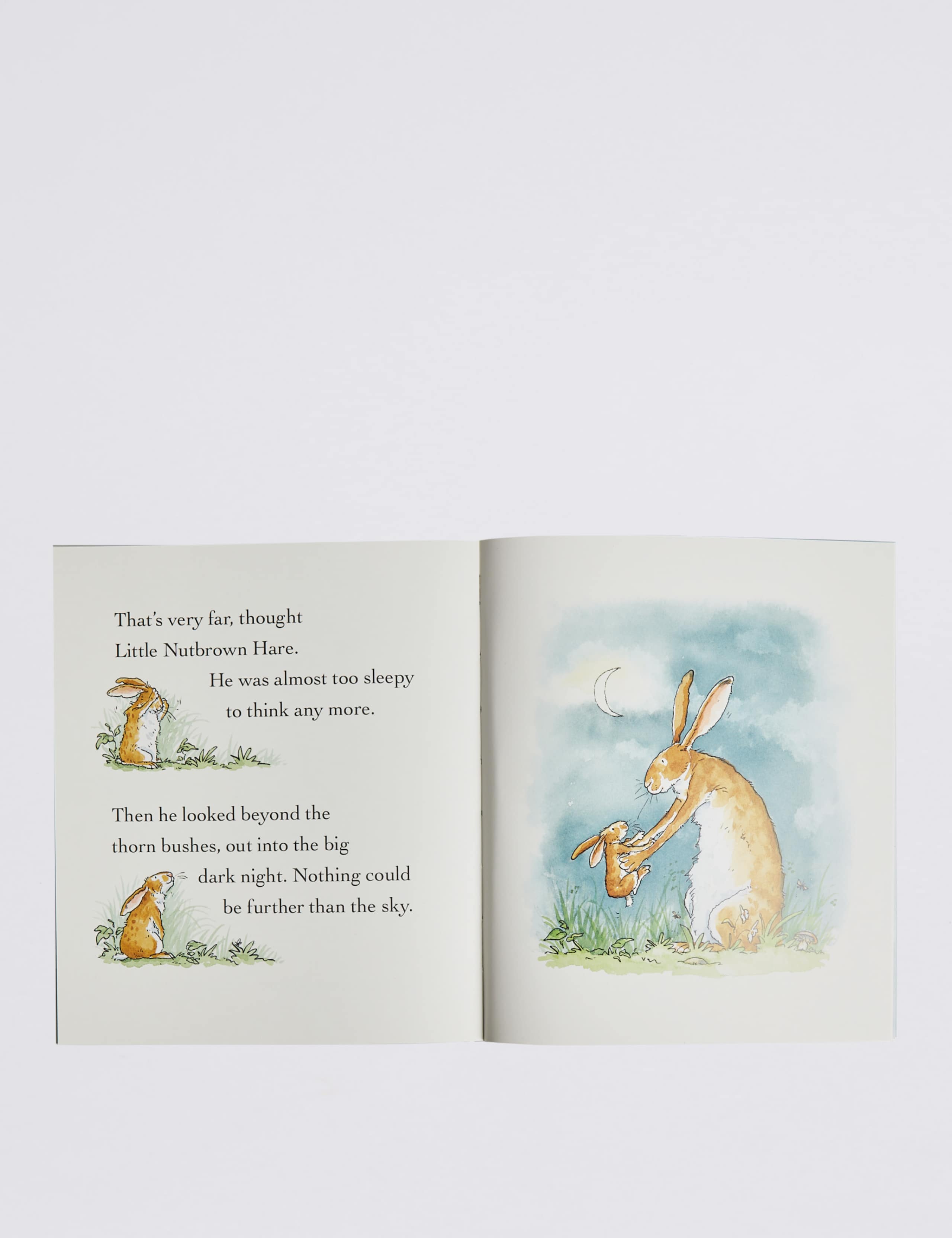 Guess How Much I Love You Story Book 3 of 3