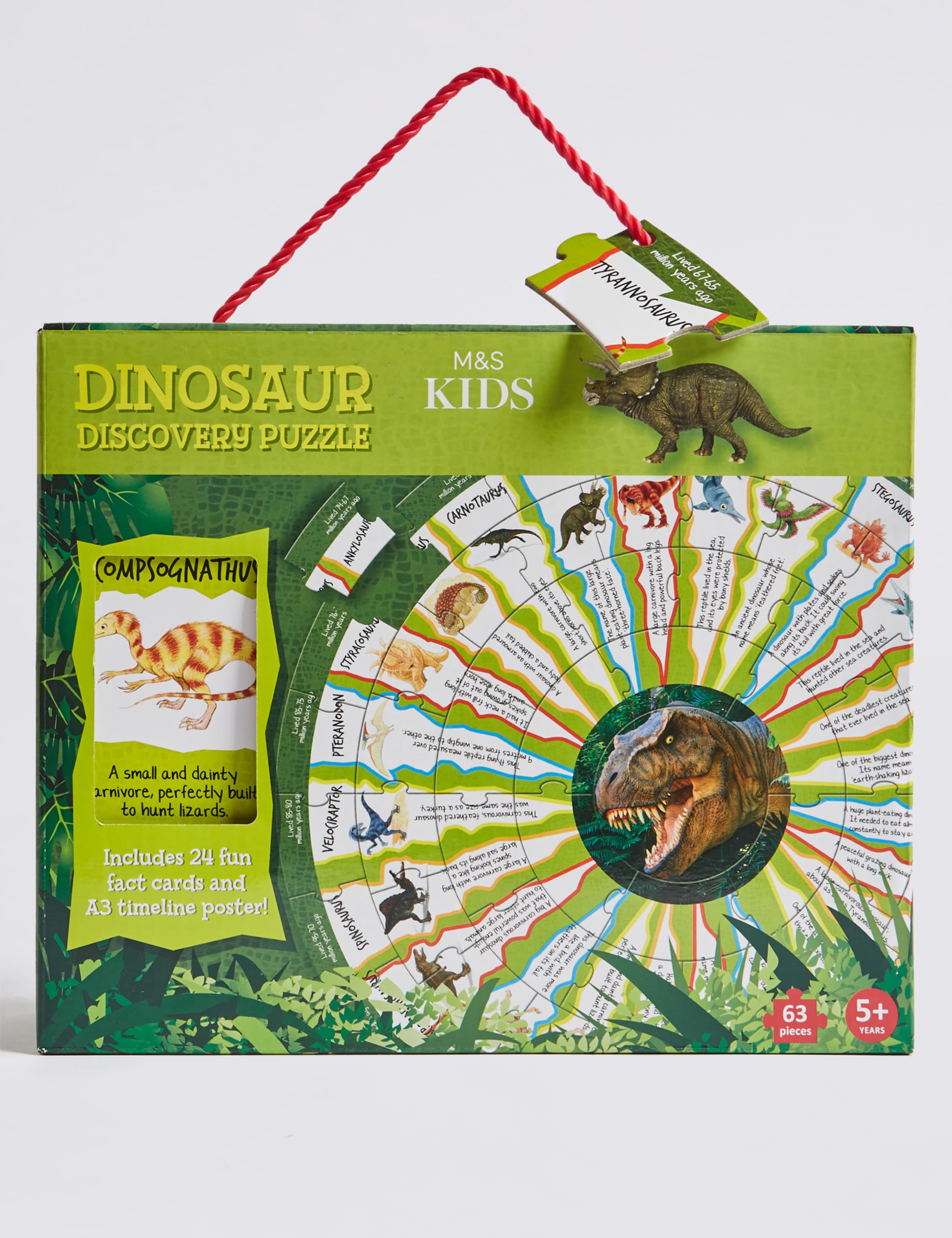 Dinosaur Discovery Puzzle 1 of 4
