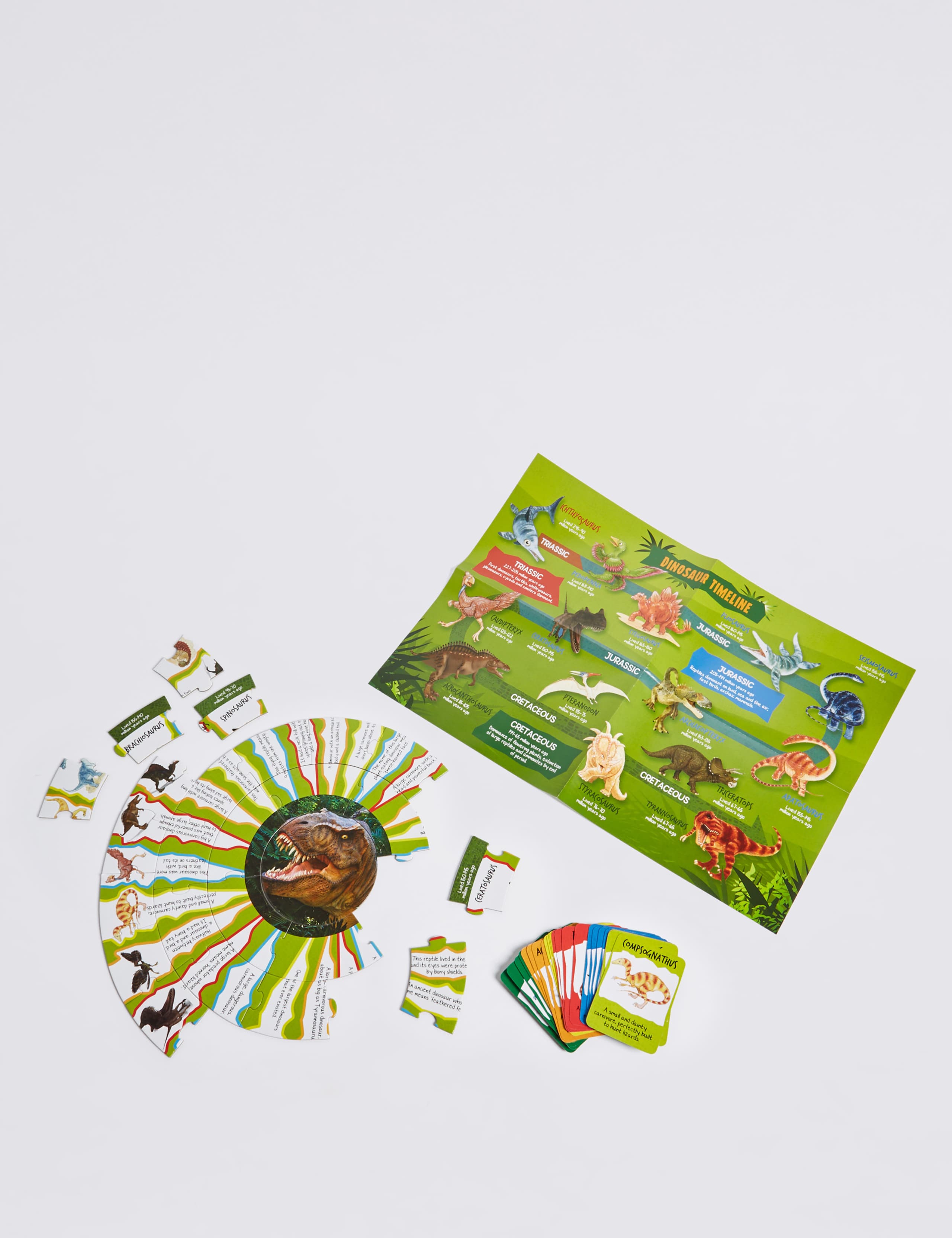 Dinosaur Discovery Puzzle 3 of 4