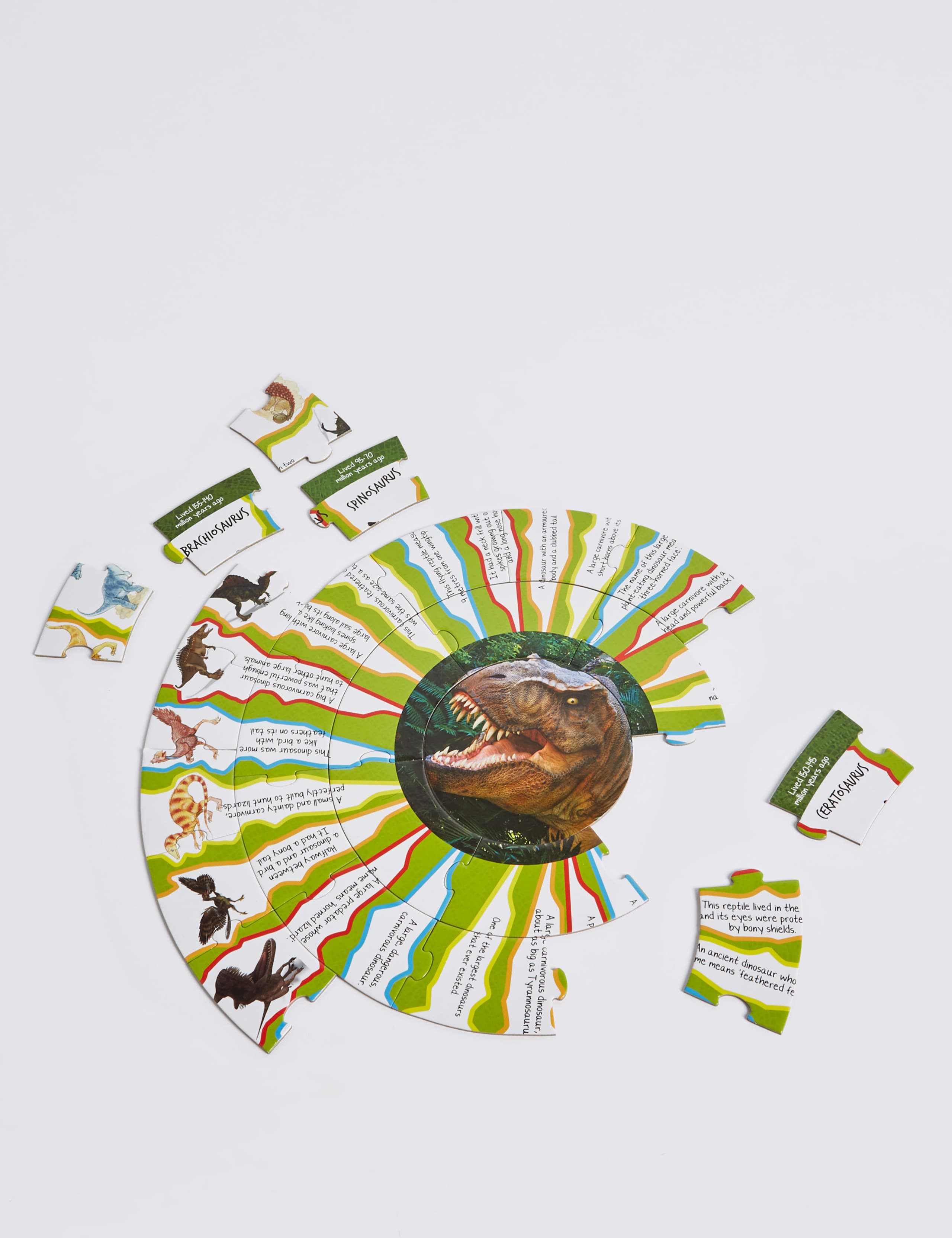 Dinosaur Discovery Puzzle 4 of 4