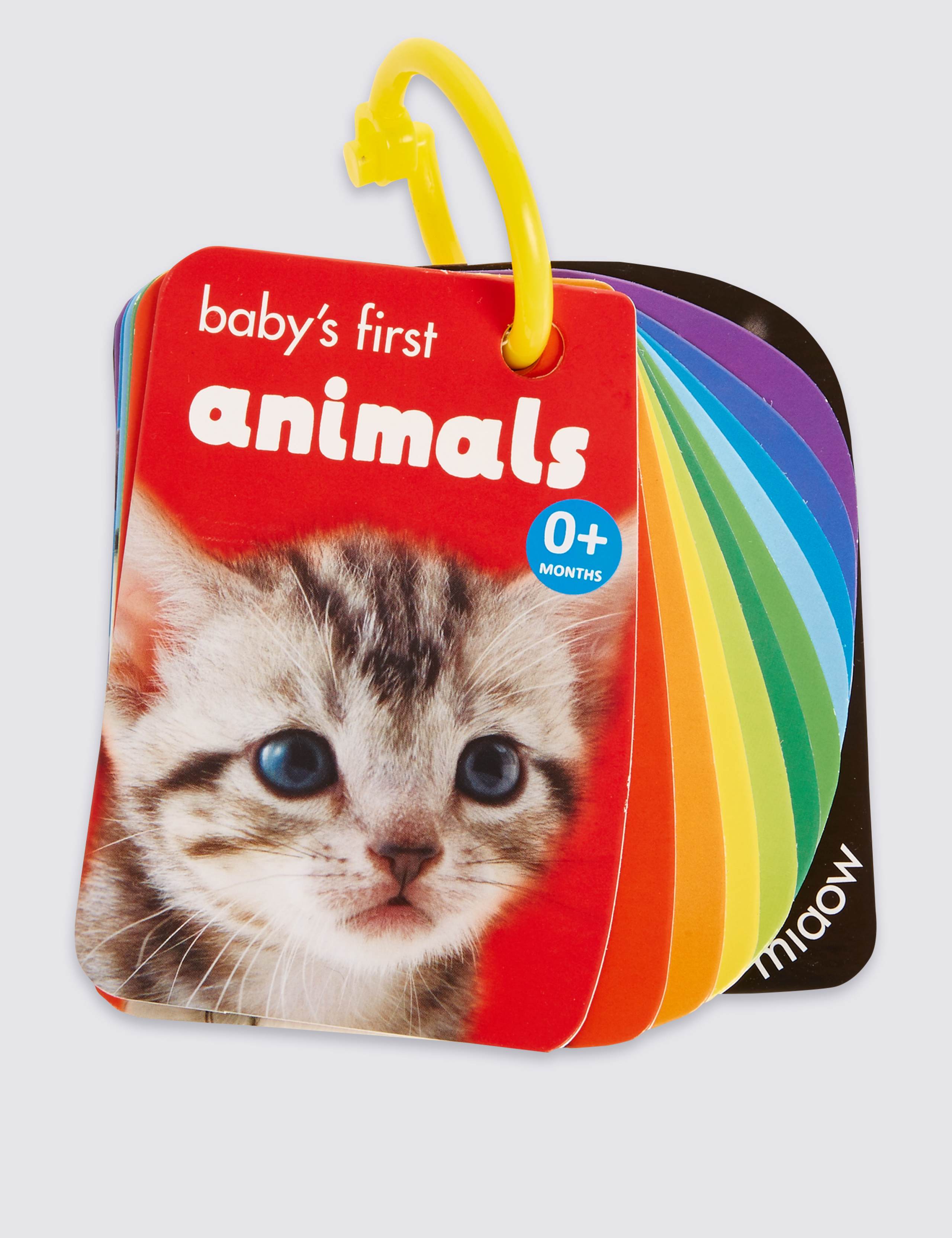 Buggy Animals Book 1 of 3