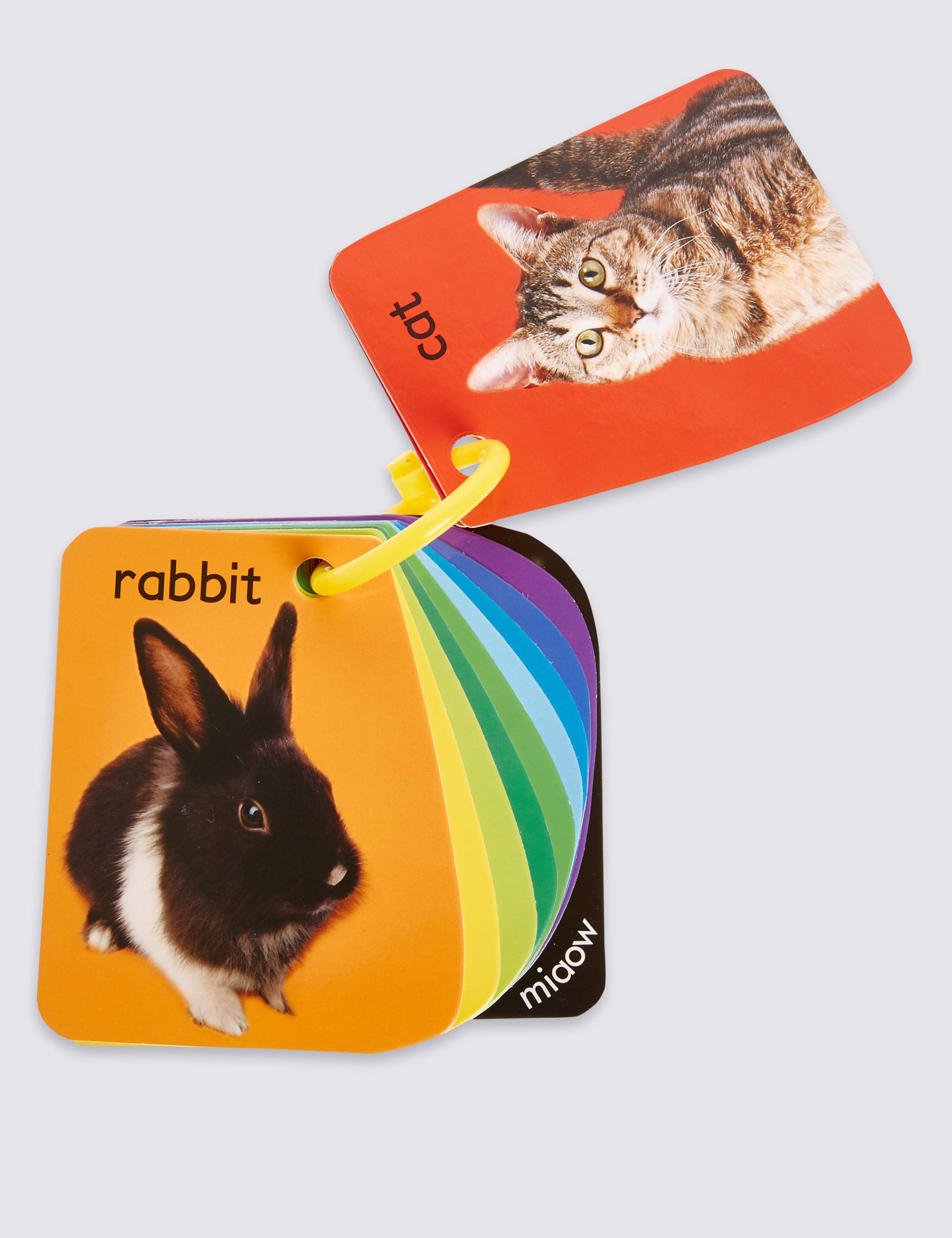 Buggy Animals Book 2 of 3