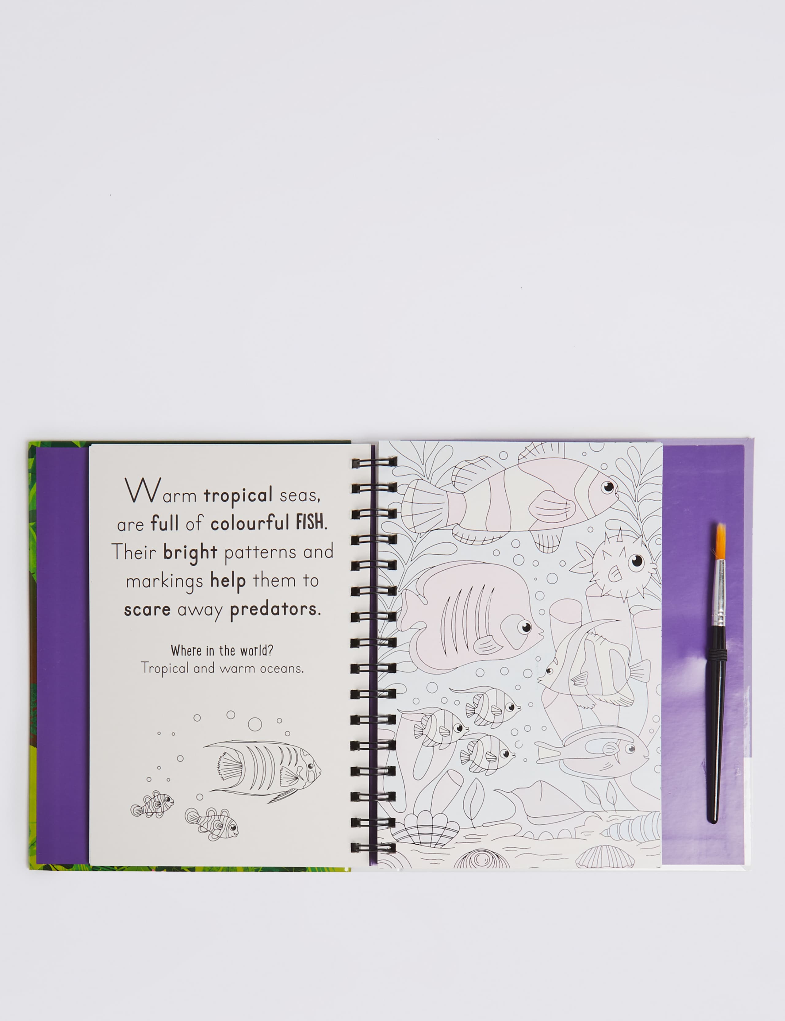 Animals Magic Water Colouring Book 3 of 3