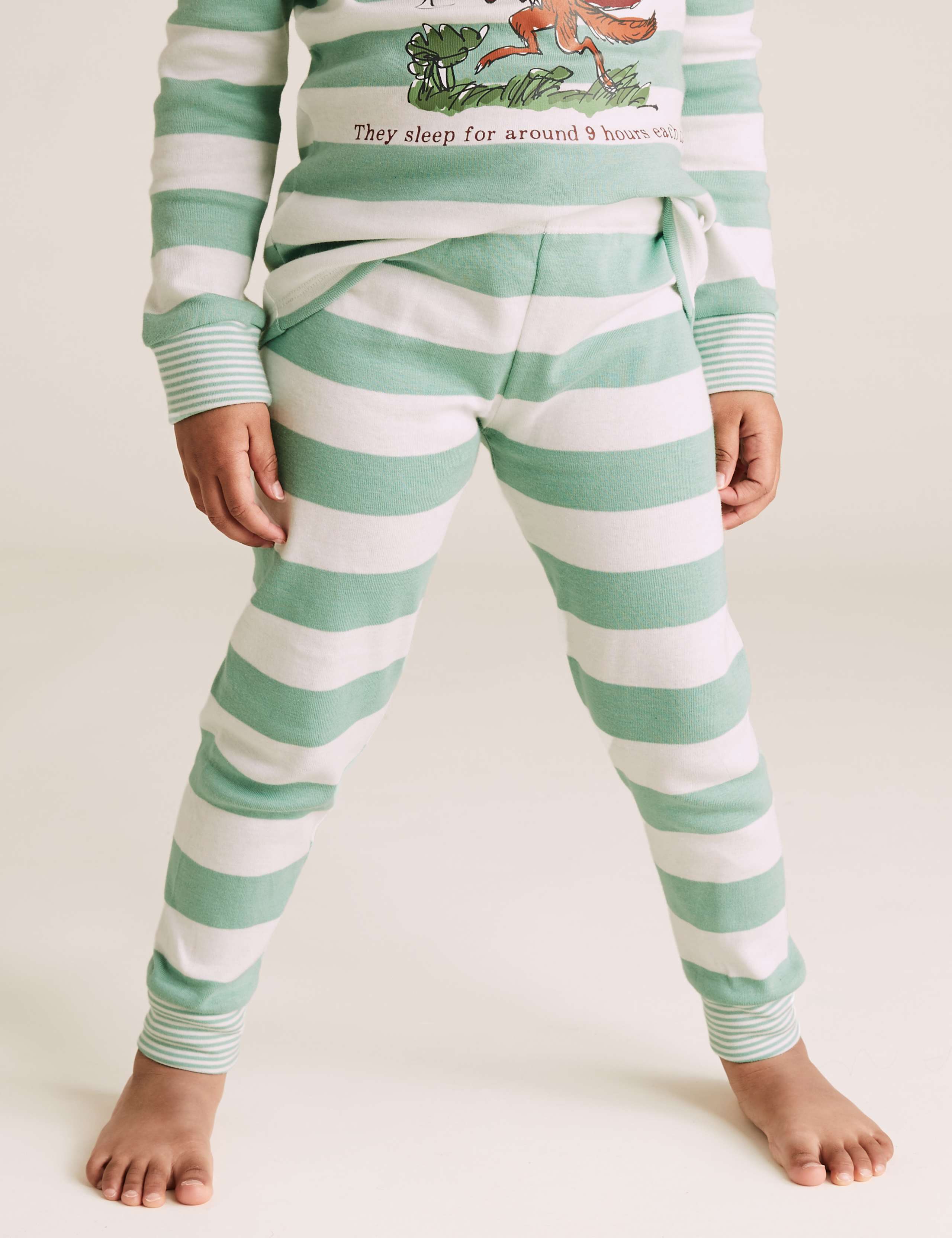 Roald Dahl™ & NHM™ Fantastic Fox Pyjama Set (1-7 Yrs) 6 of 6