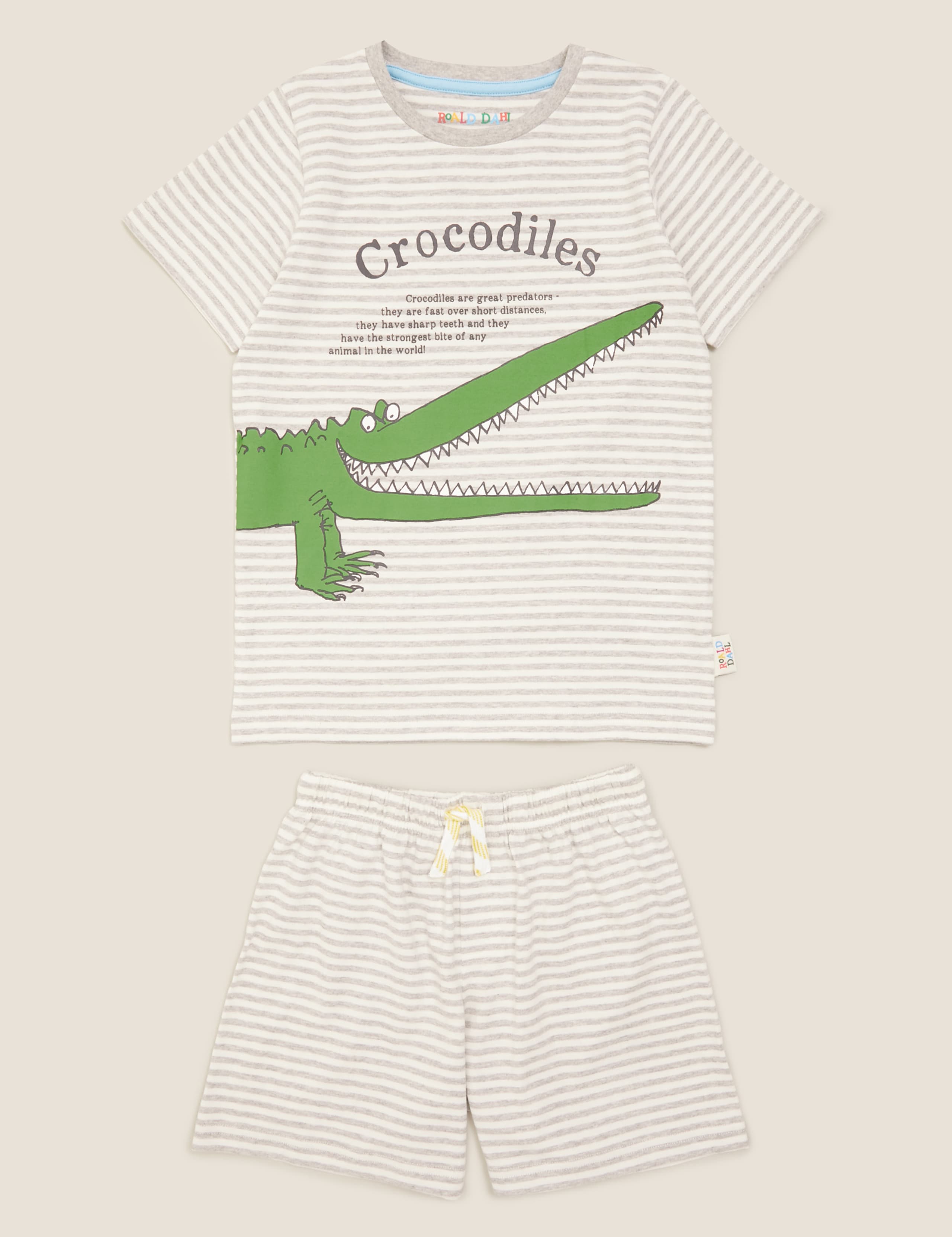 Roald Dahl™ & NHM™ Crocodile Pyjama Set (1-10 Yrs) 2 of 6
