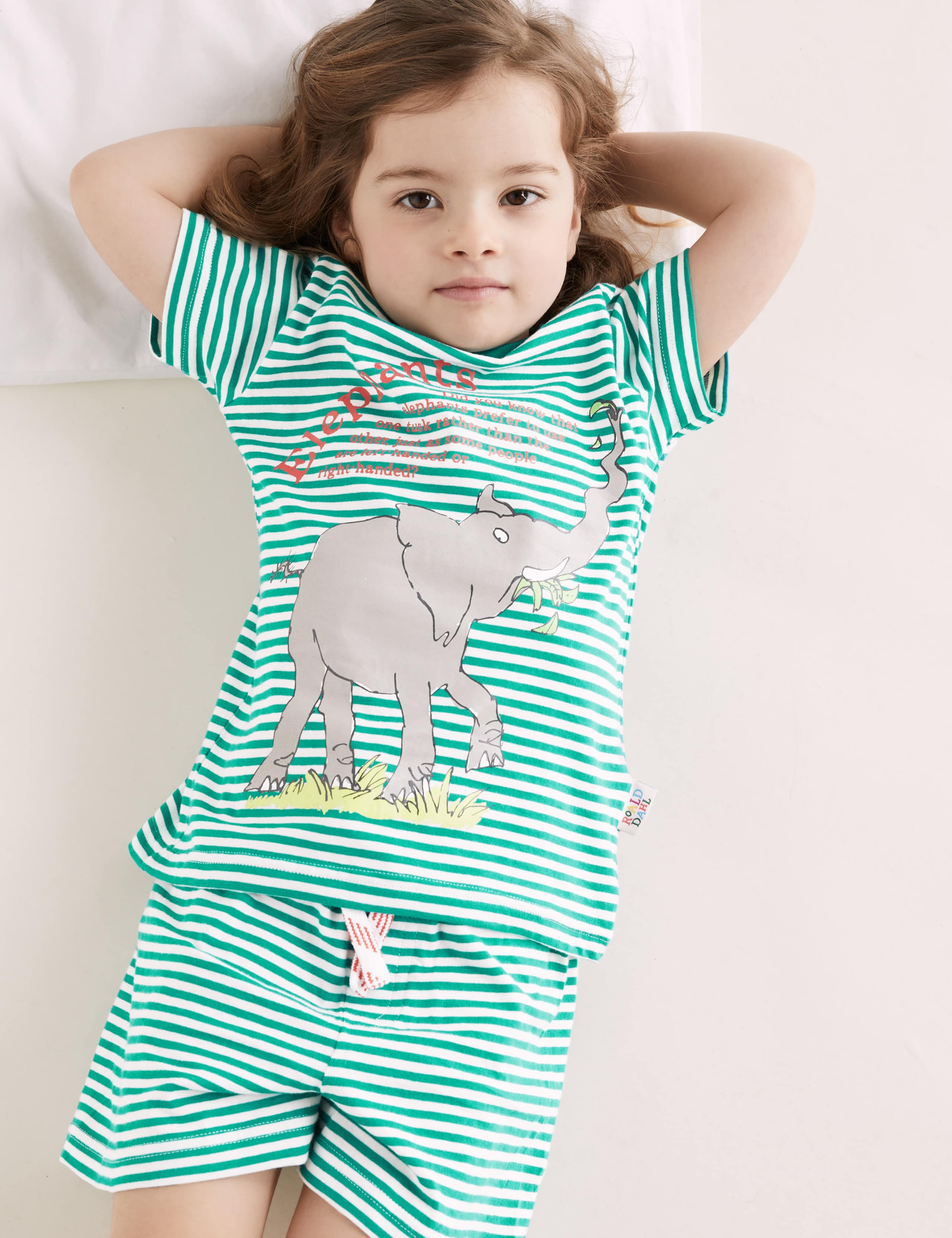 Roald Dahl™ & NHM™ Short Pyjama Set (1-10 Yrs) 3 of 6