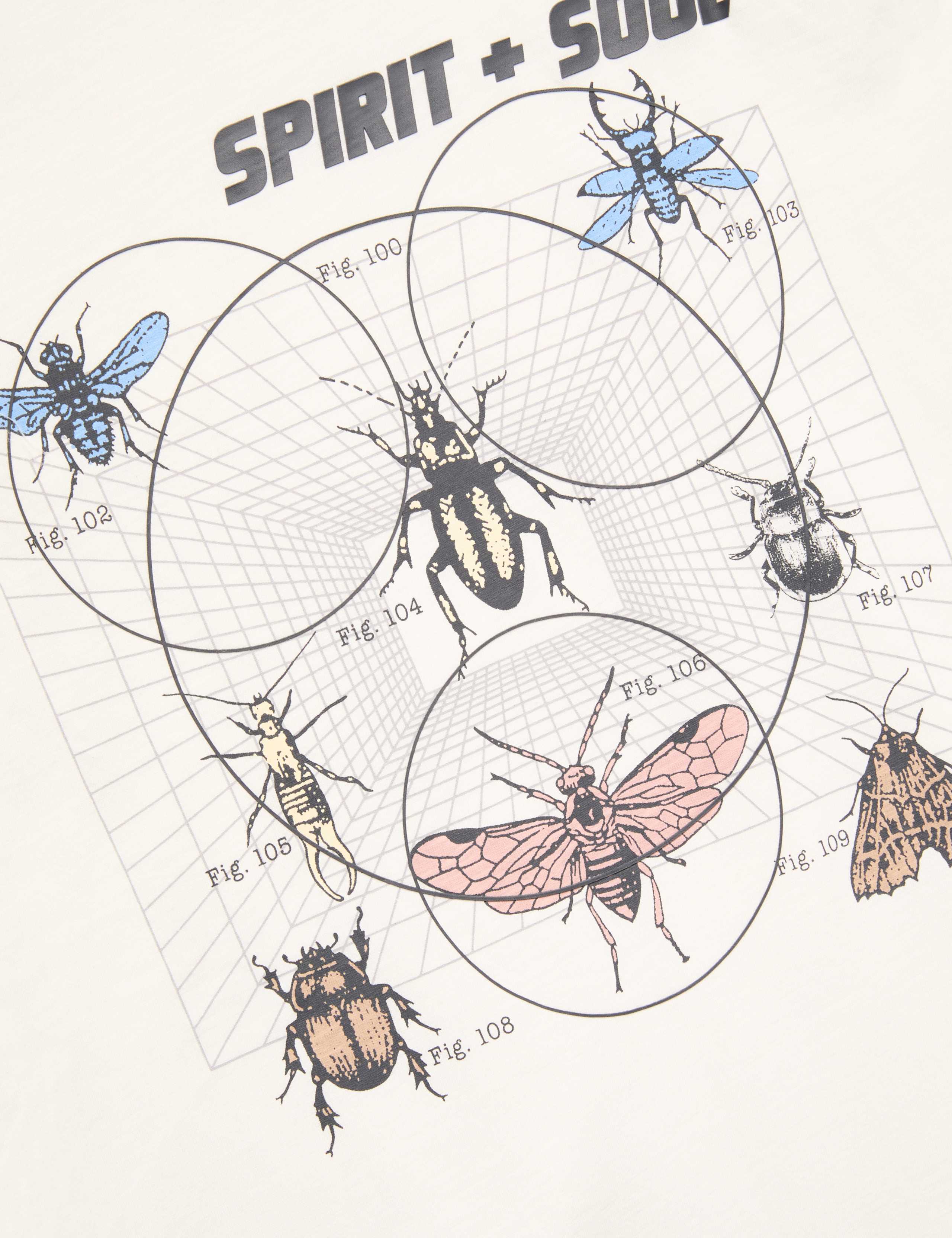 2 Pack Pure Cotton Bug Pyjamas (6-16 Yrs) 3 of 3