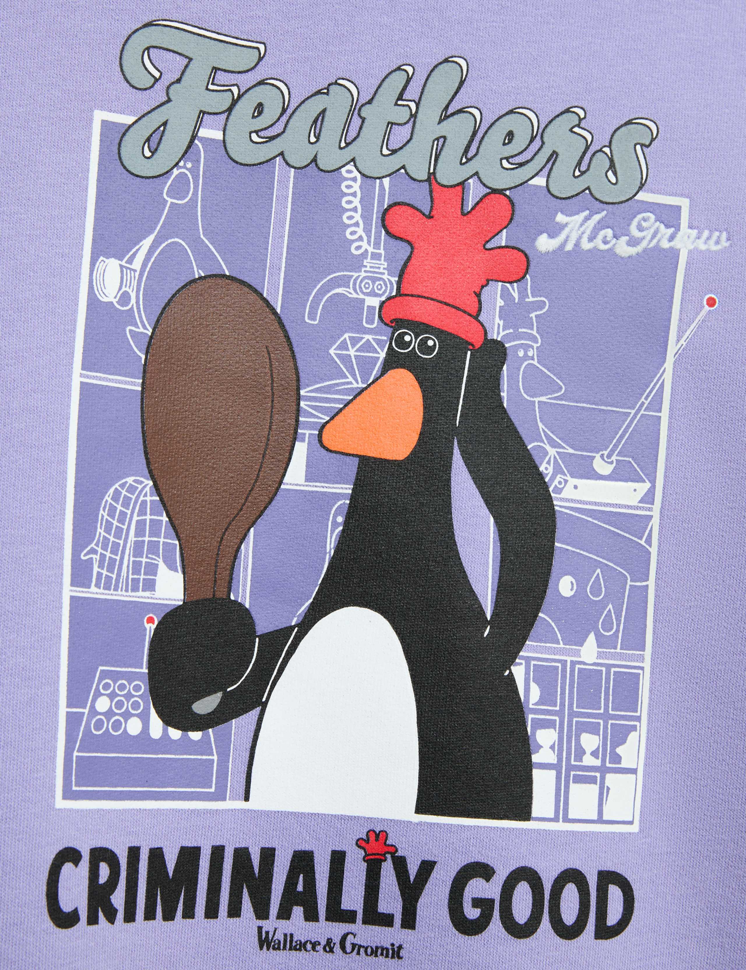 Cotton Rich Wallace & Gromit™ Hoodie (6-16 Yrs) 4 of 5