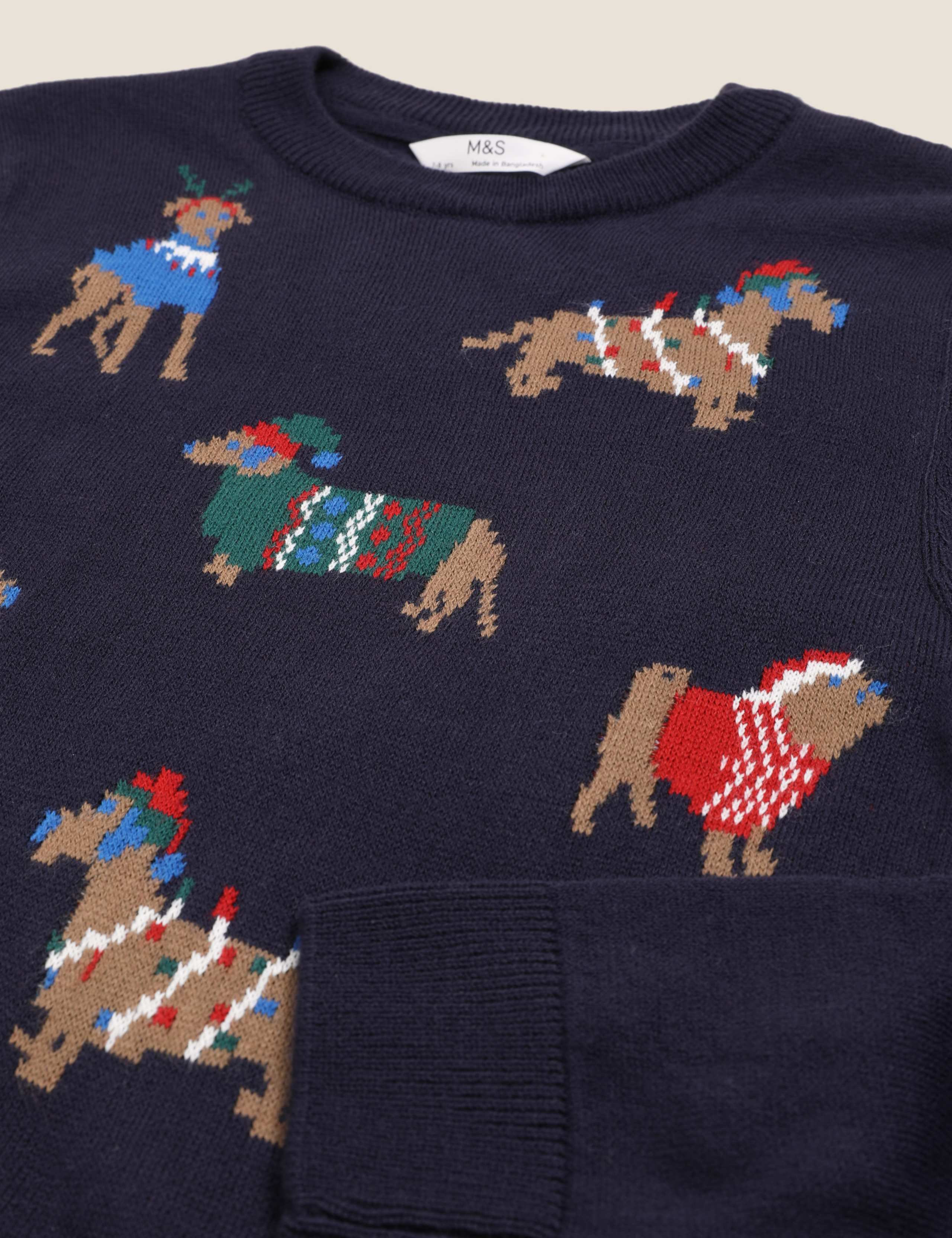 Mini Me Dog Jumper (6-16 Yrs) 5 of 5