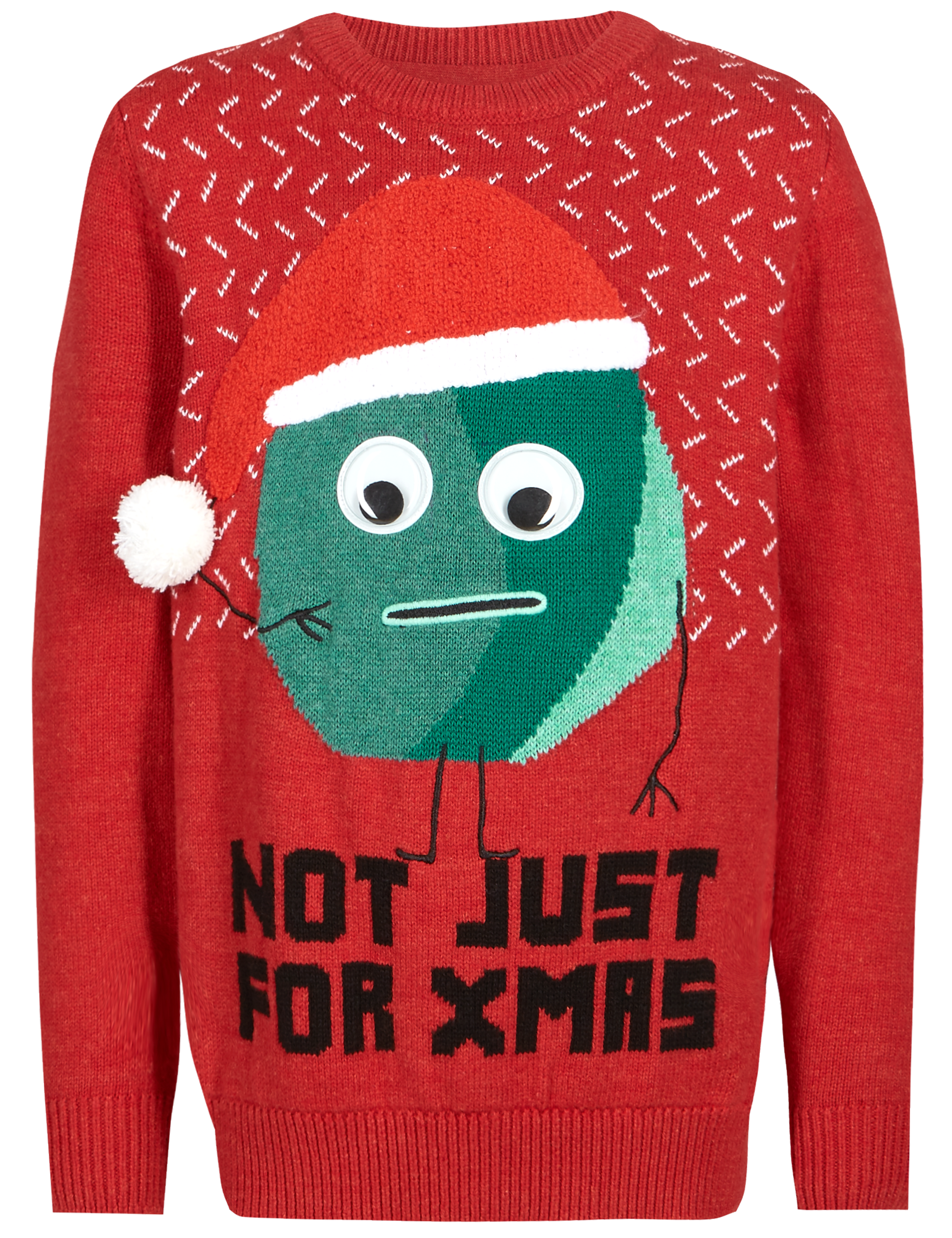 Pure Cotton Christmas Jumper (3-14 Years) 4 of 5