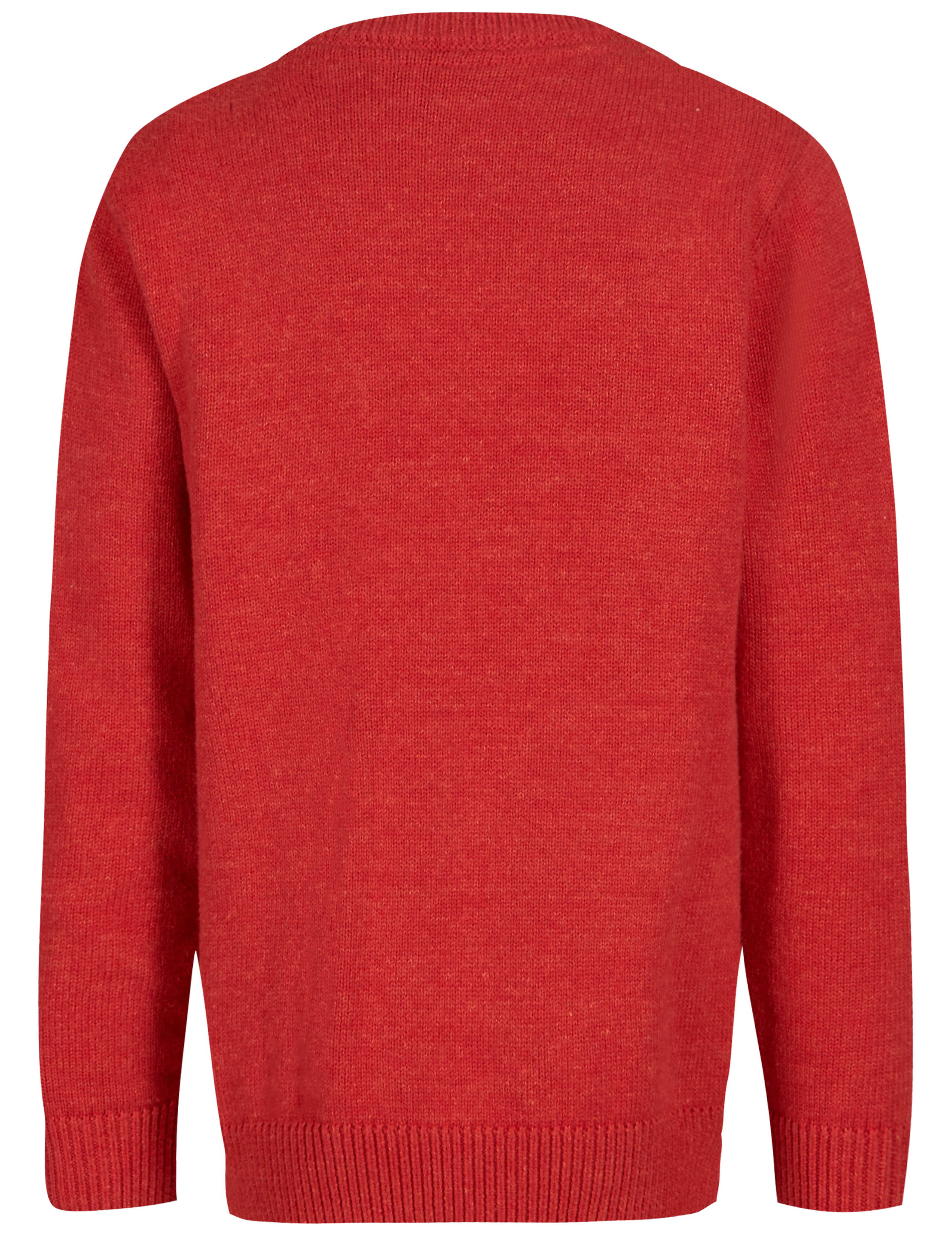 Pure Cotton Christmas Jumper (3-14 Years) 5 of 5