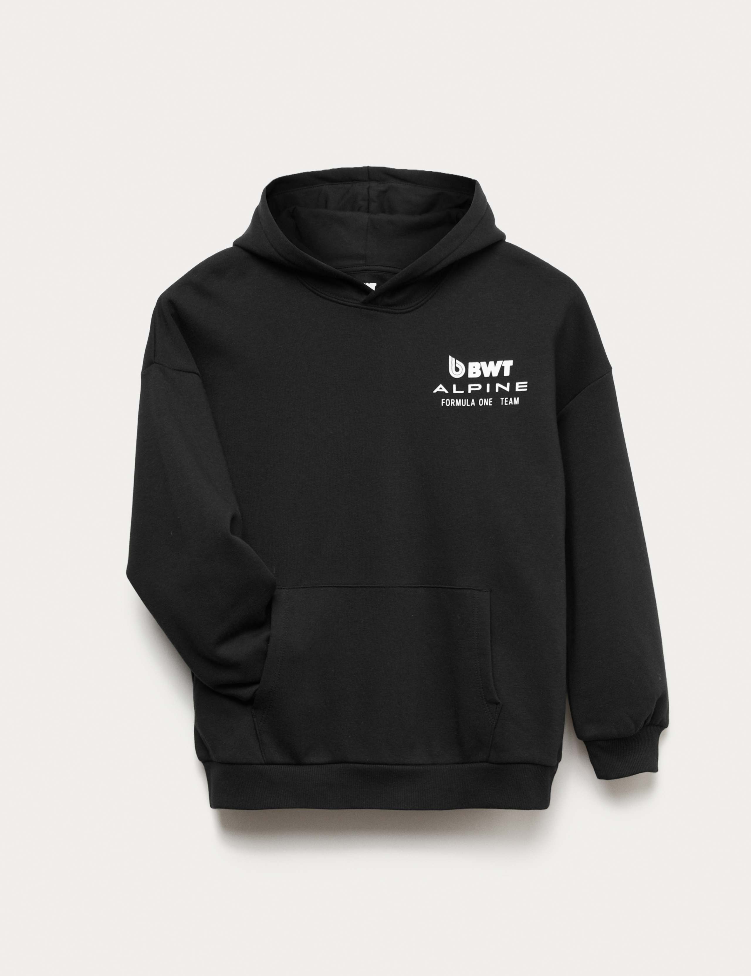 Alpine Graphic Hoodie 1 of 1