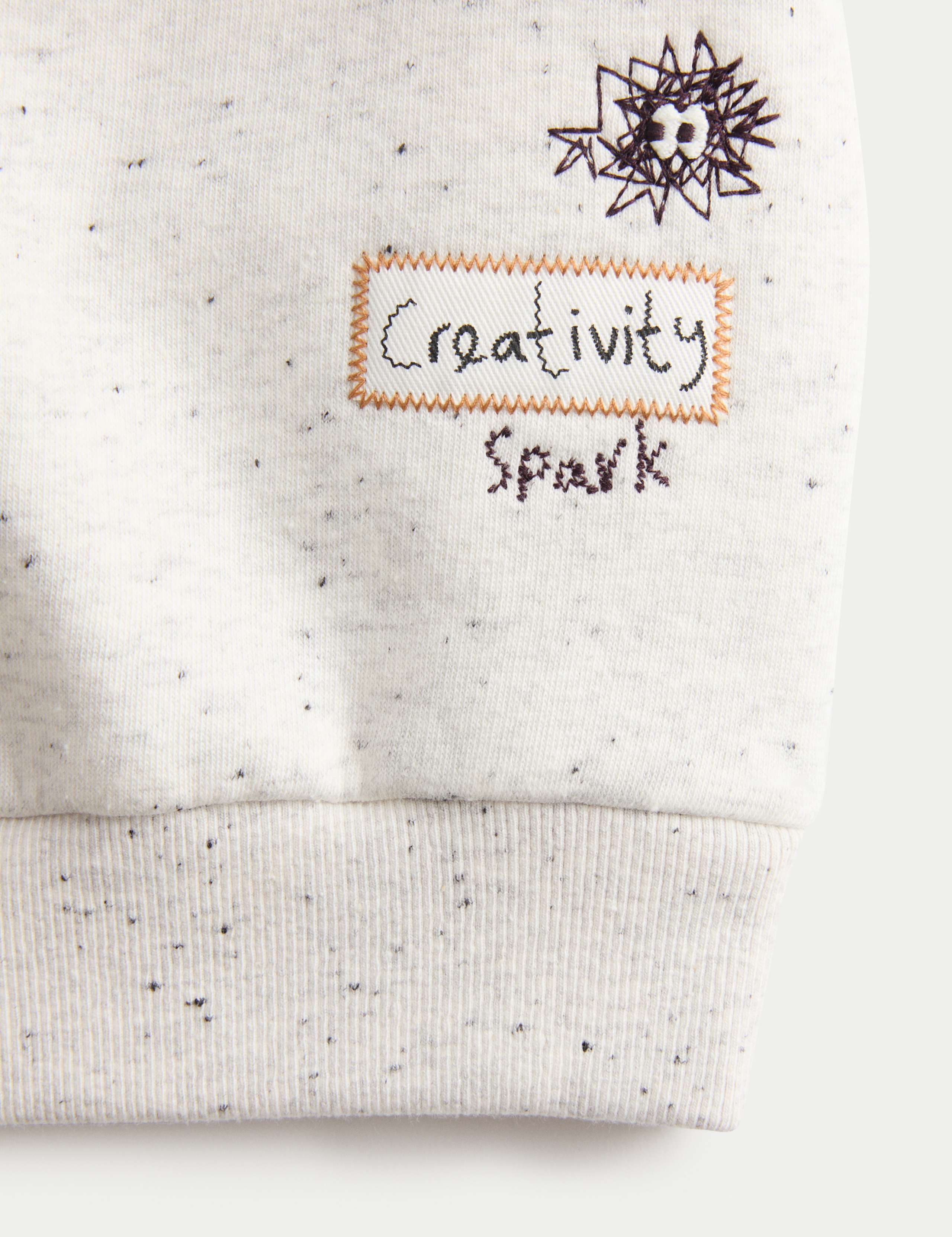 Cotton Rich Embroidered Sweatshirt (2-8 Yrs) 6 of 6