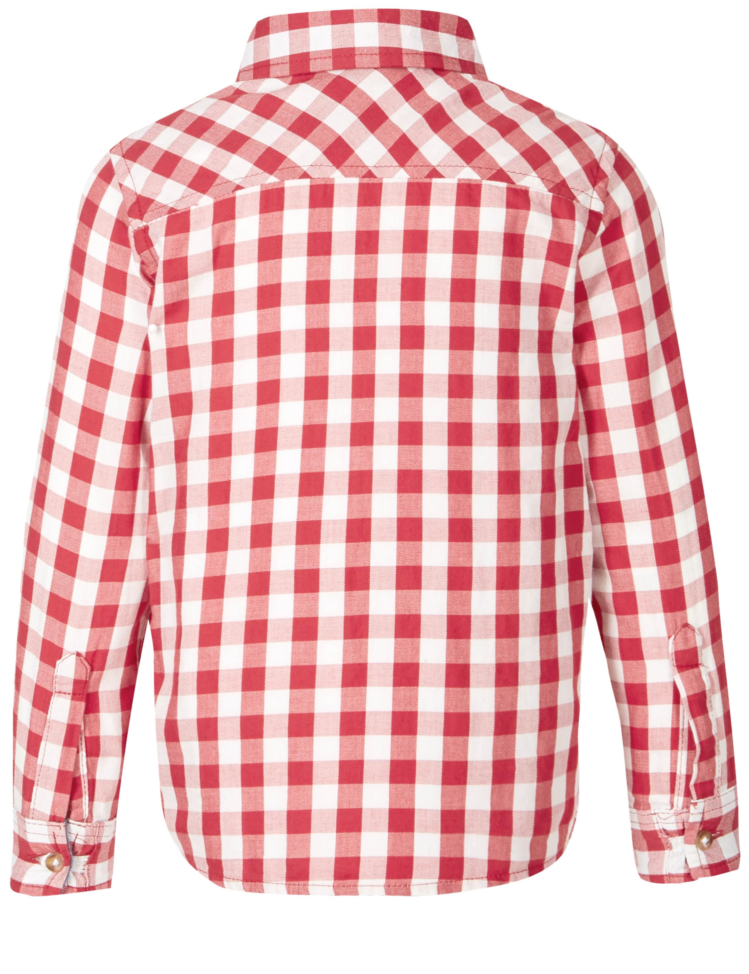 Paddington™ Pure Cotton Gingham Shirt (3 Months - 6 Years) 6 of 6