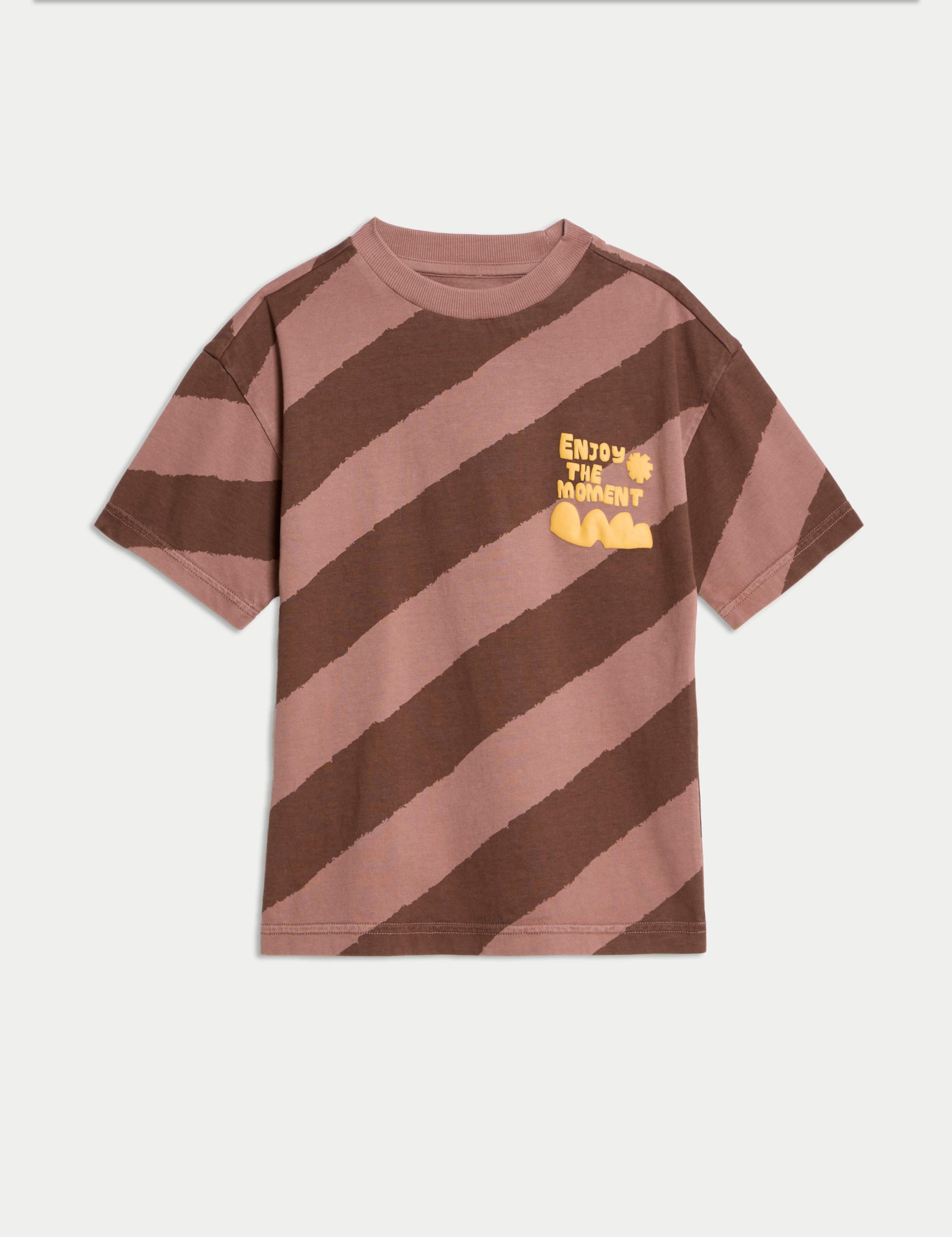 Pure Cotton Striped T-Shirt (2-8 Yrs) 1 of 2