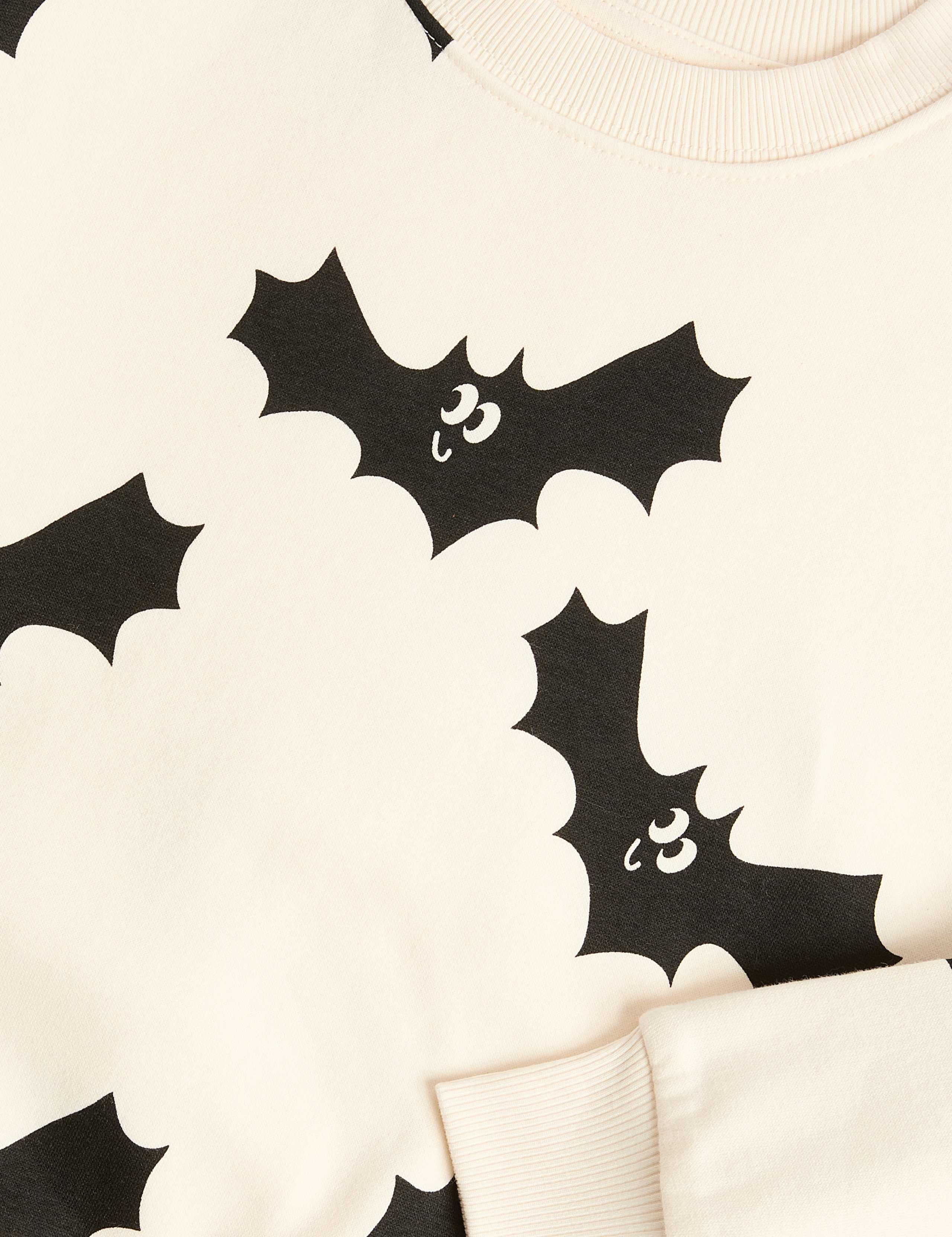 Cotton Rich Halloween Bat Sweatshirt (2-8 Yrs) 2 of 2