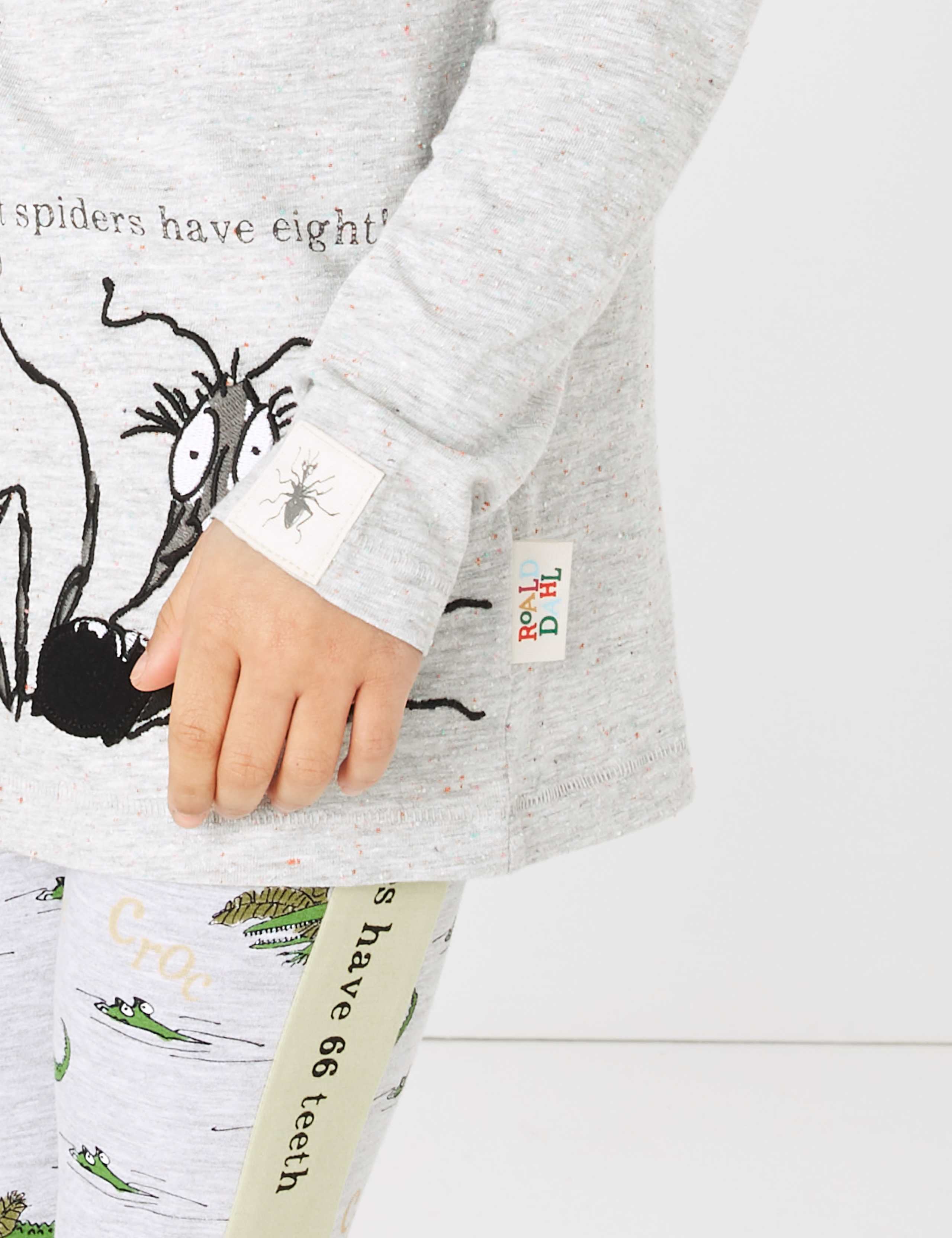 Roald Dahl™ & NHM™ Spider T-Shirt (2-7 Yrs) 7 of 7